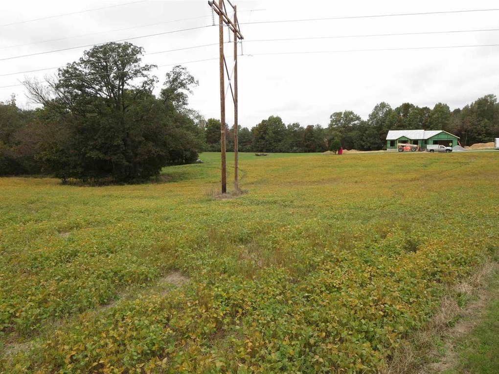 1924 Castle Oaks Road Pittsburg, IL 62974 - Photo 6 of 14 a view of a field with an ocean view