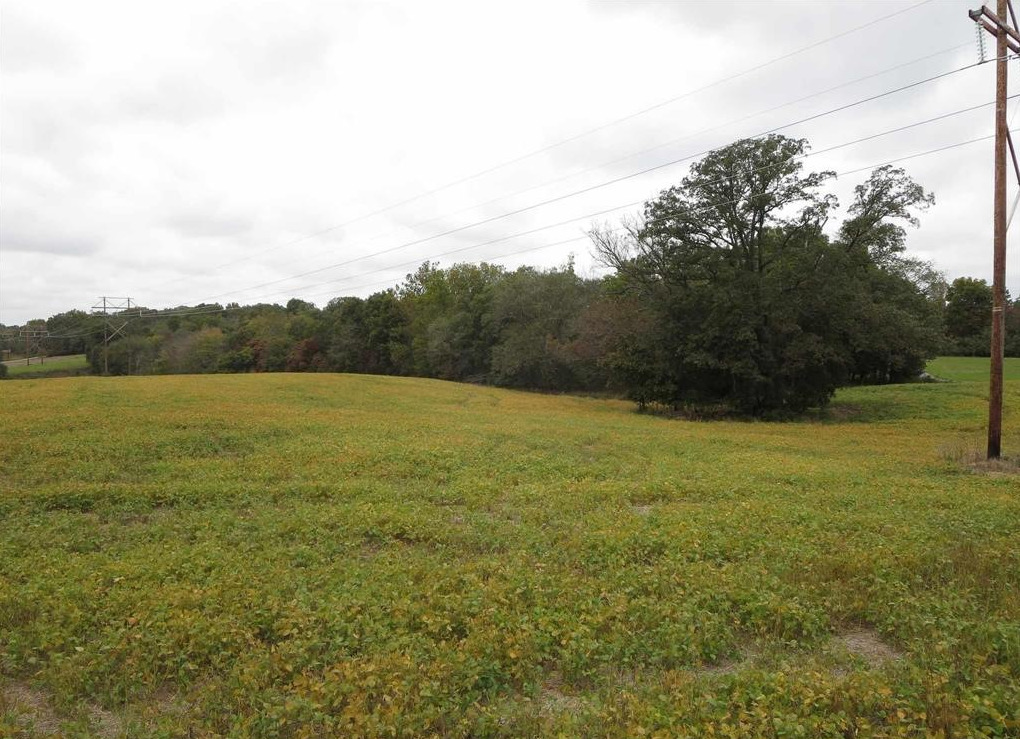 1924 Castle Oaks Road Pittsburg, IL 62974 - Photo 7 of 14 a view of a field with an ocean view