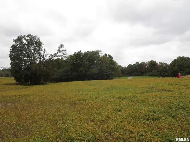 a close up of a wall with a ceiling fan