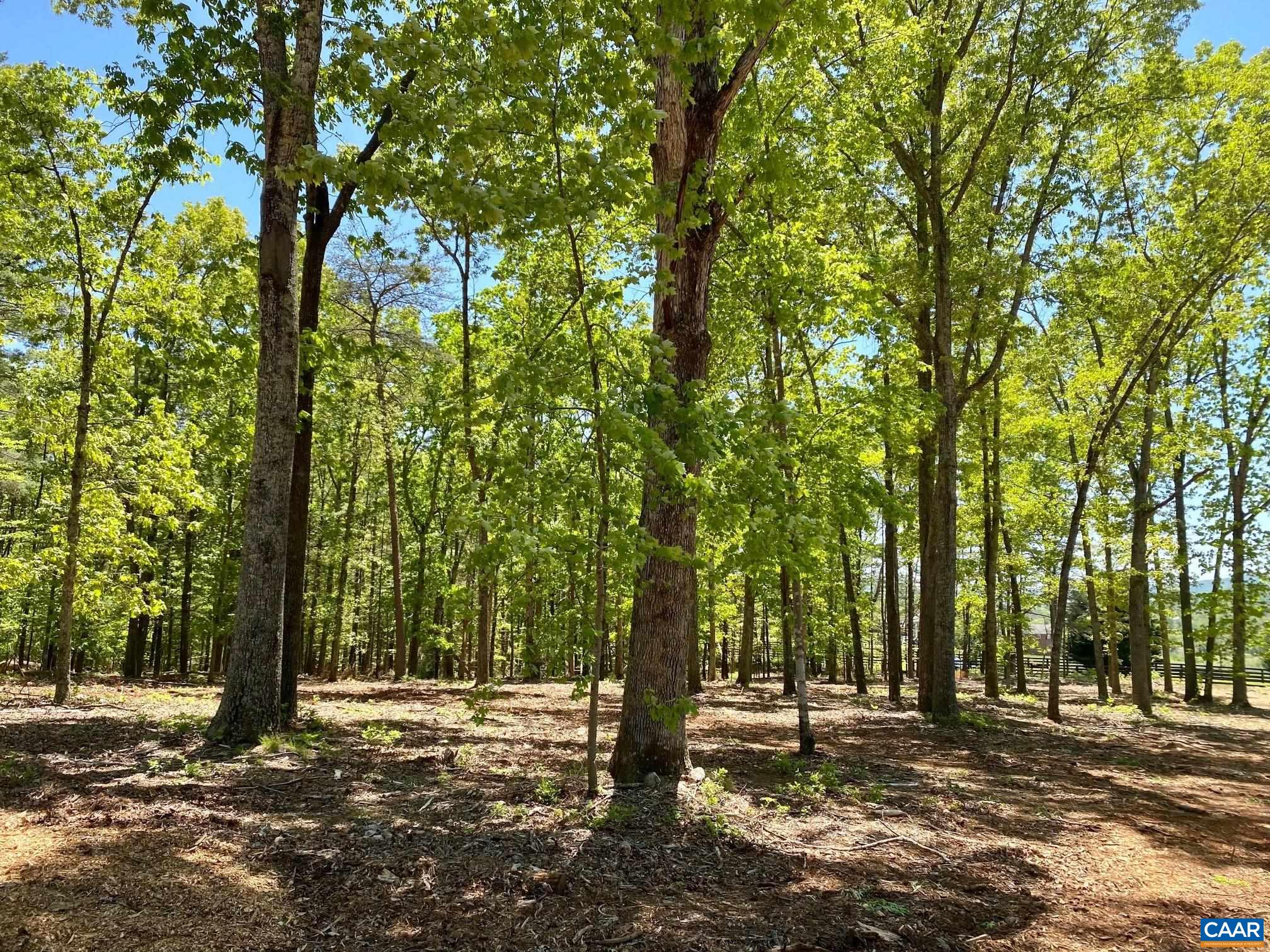 0 Red Hill Road Charlottesville, VA 22903 - Photo 12 of 21 a view of outdoor space with trees