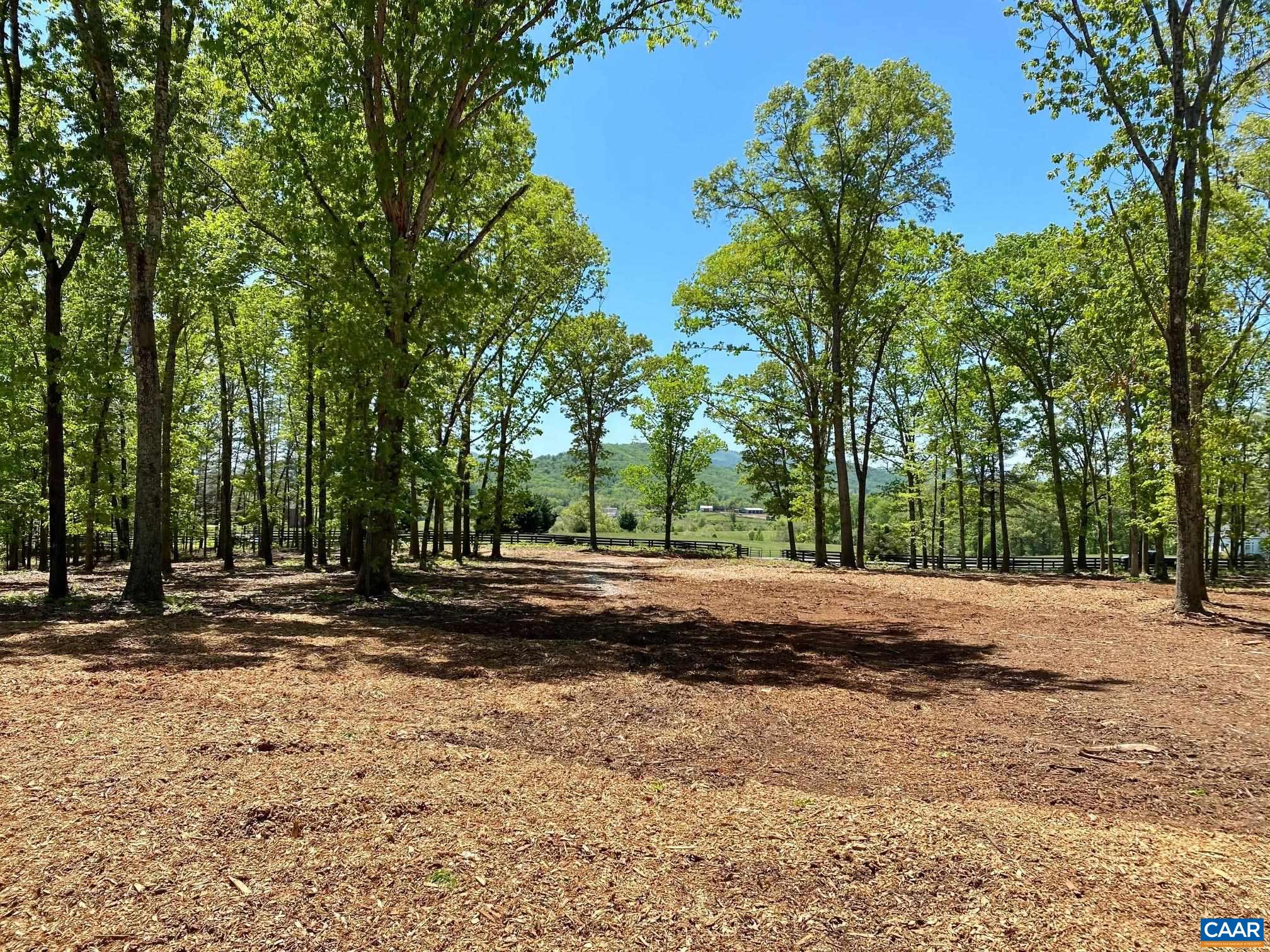 0 Red Hill Road Charlottesville, VA 22903 - Photo 4 of 21 a view of a yard with trees in the background