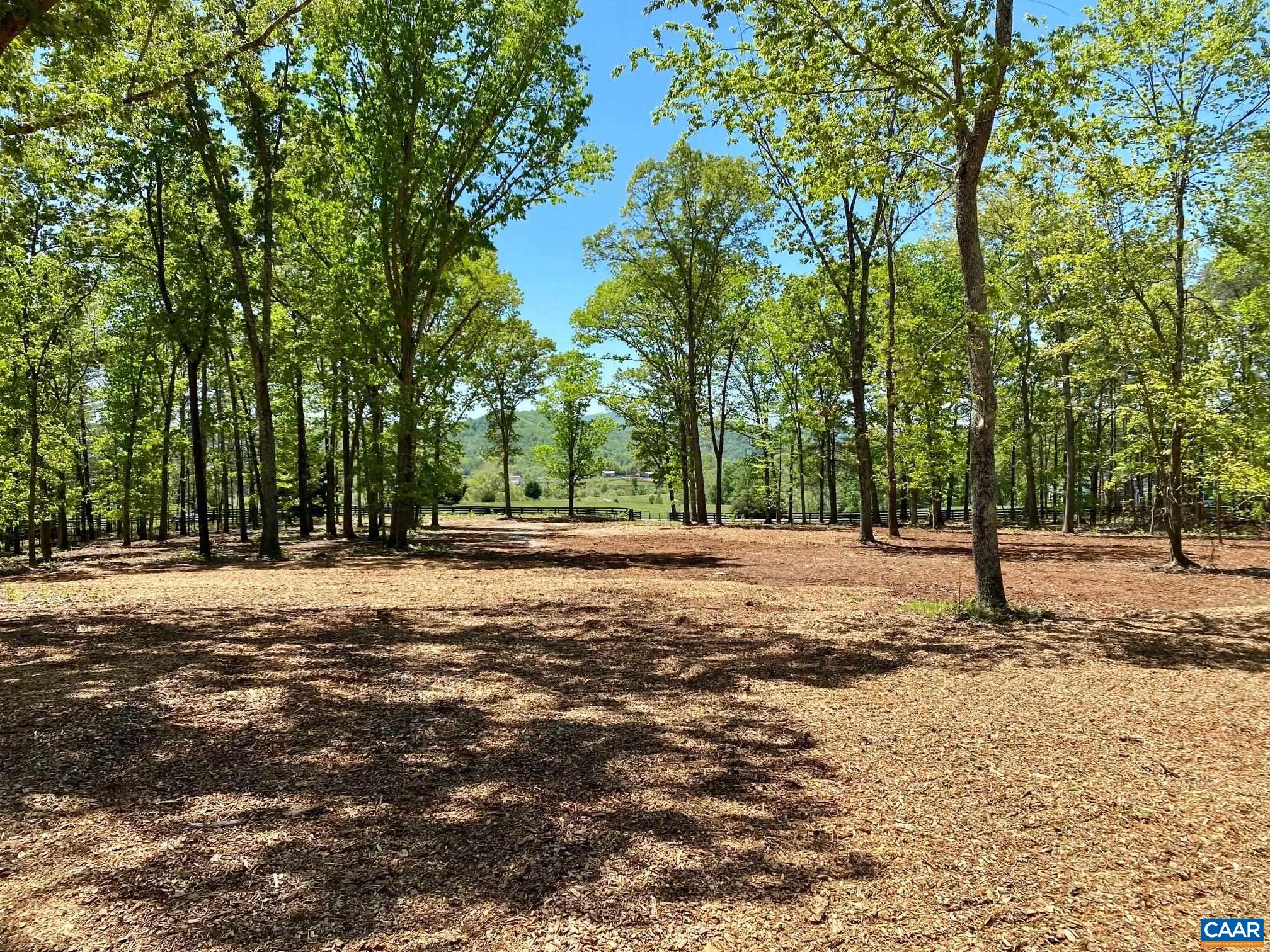 0 Red Hill Road Charlottesville, VA 22903 - Photo 5 of 21 a view of dirt yard with a trees