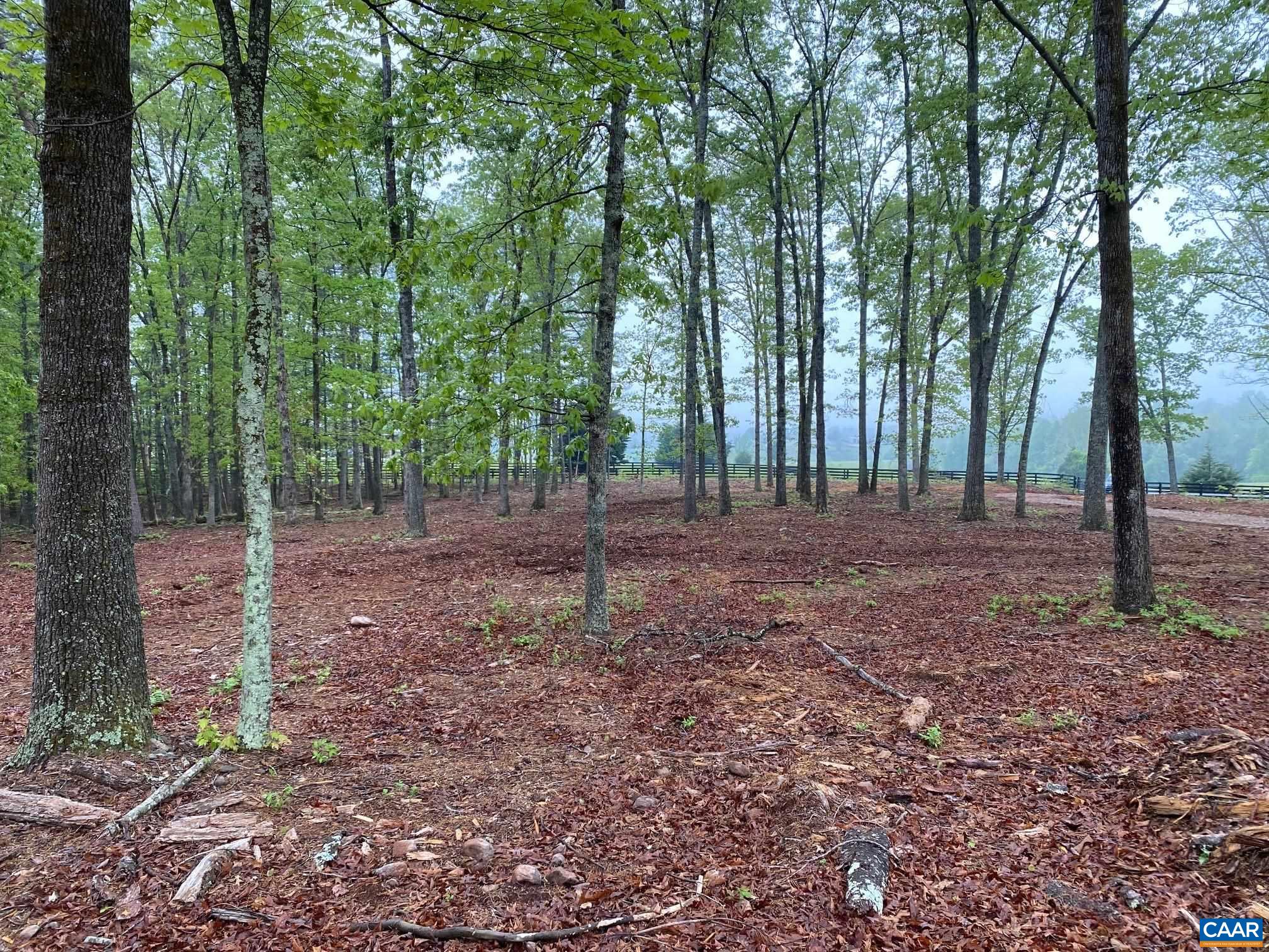 0 Red Hill Road Charlottesville, VA 22903 - Photo 6 of 21 a view of outdoor space with trees