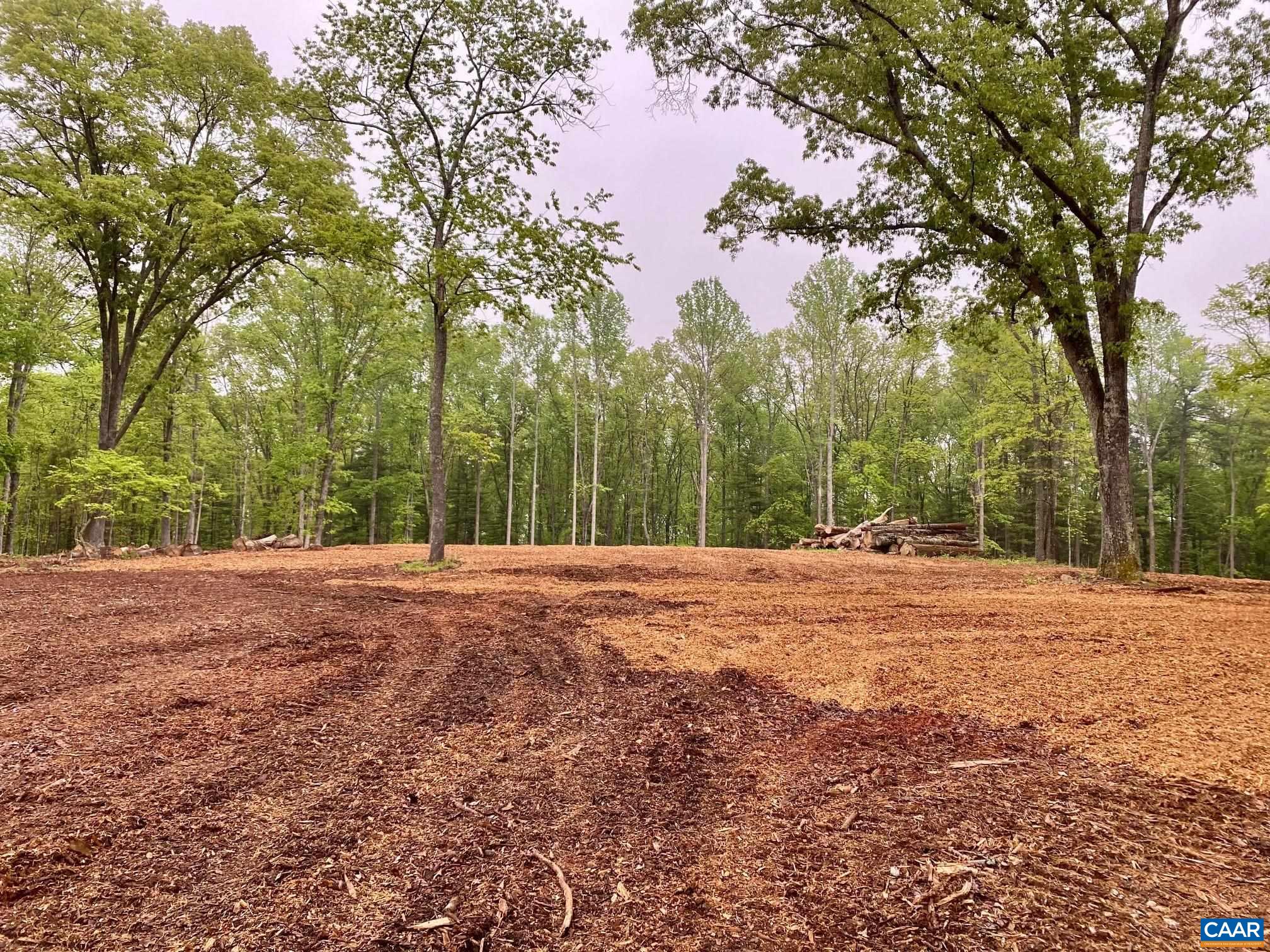 0 Red Hill Road Charlottesville, VA 22903 - Photo 7 of 21 a backyard of a house with large trees