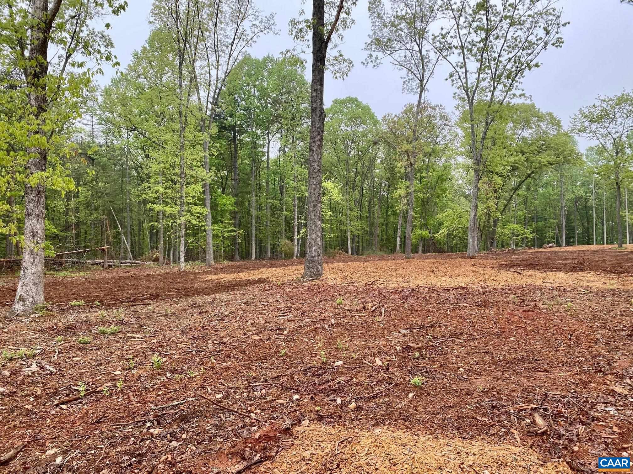 0 Red Hill Road Charlottesville, VA 22903 - Photo 8 of 21 a backyard of a house with lots of green space