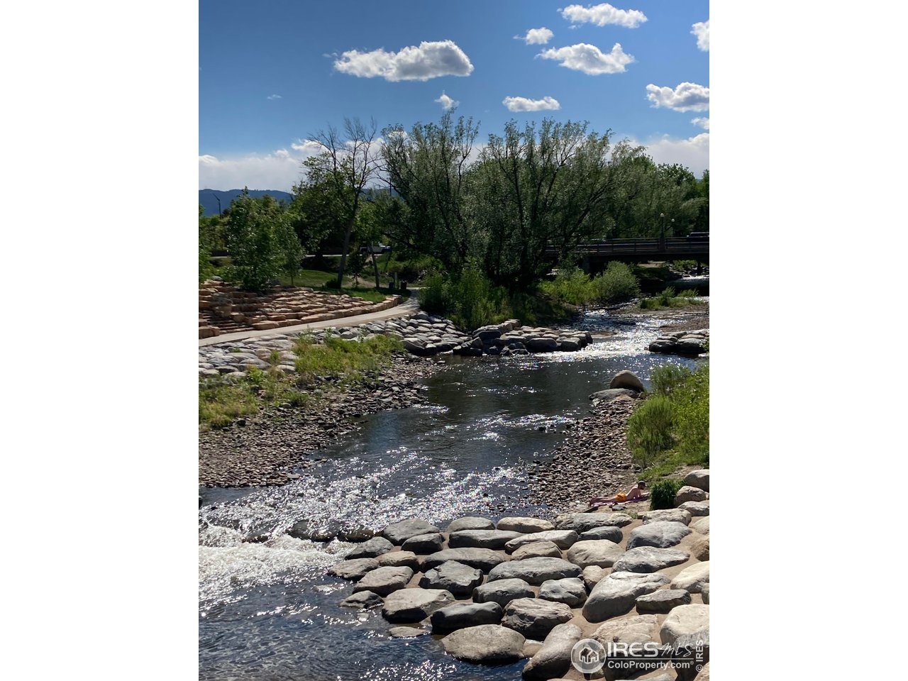 232 Pascal Street Fort Collins, CO 80524 - Photo 12 of 13 a view of a backyard with plants and trees
