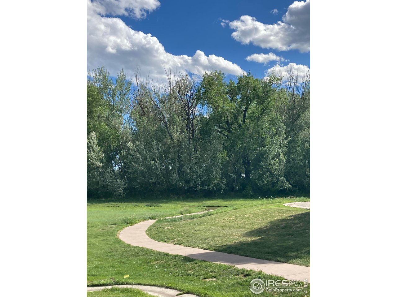 232 Pascal Street Fort Collins, CO 80524 - Photo 8 of 13 a view of a yard in front of a house