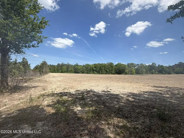$120,000 | 19.2-ac McInnis Vernal Road, Lucedale, MS 39452