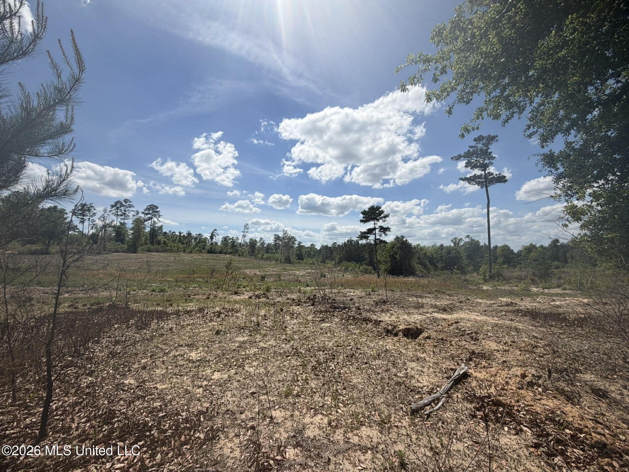 19.2-ac McInnis Vernal Road Lucedale, MS 39452 - Photo 11 of 30 668656784_1508578074380762_5873052935615