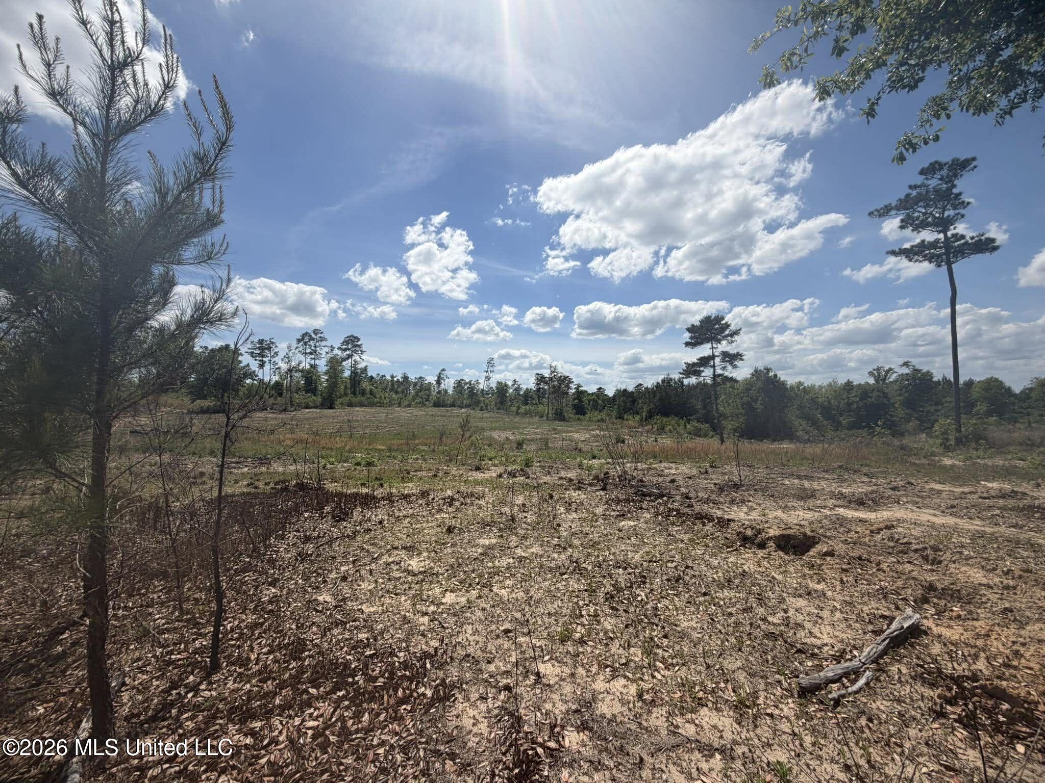 19.2-ac McInnis Vernal Road Lucedale, MS 39452 - Photo 12 of 30 669349865_1180103817459437_5941218096279