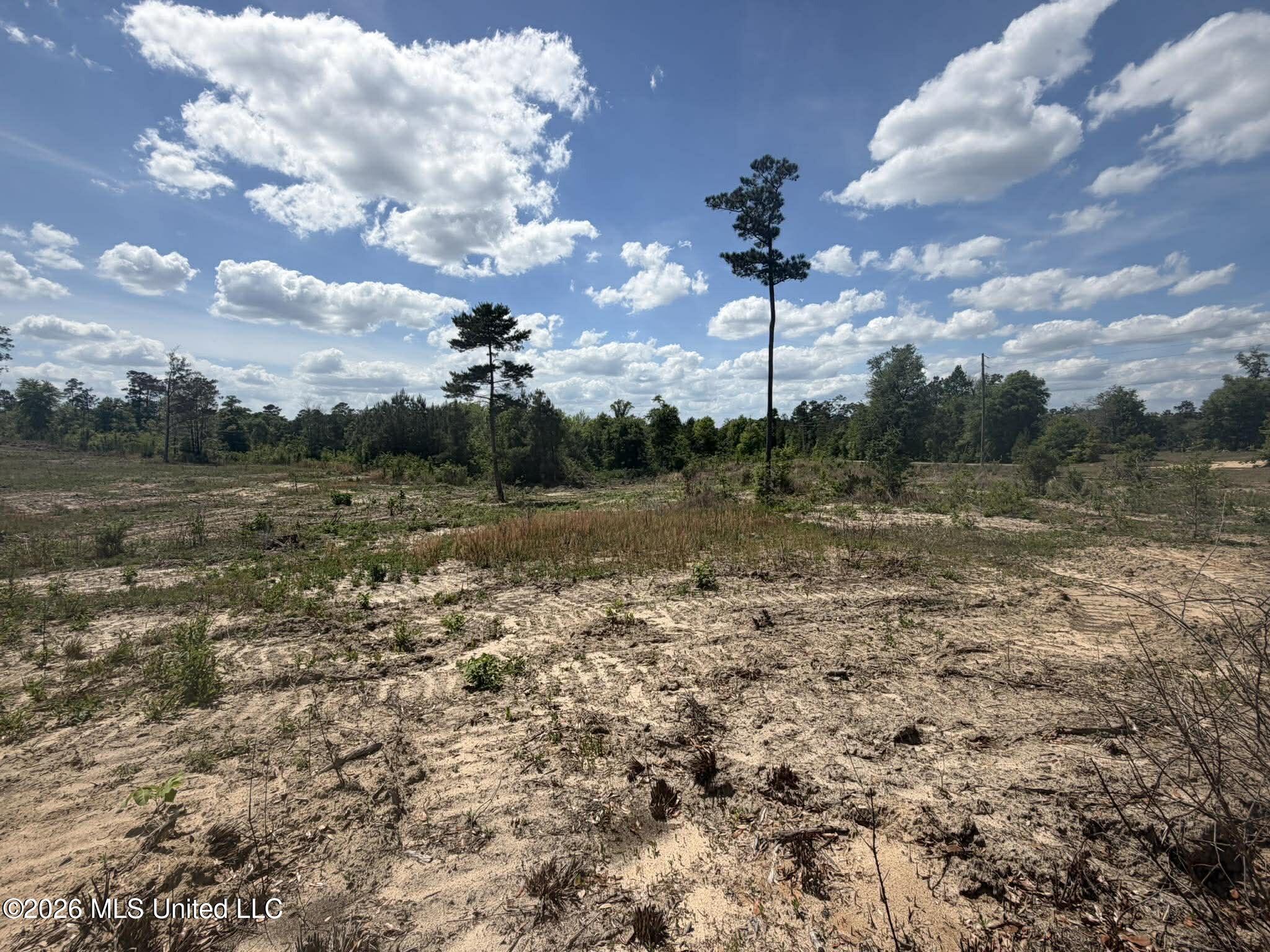 19.2-ac McInnis Vernal Road Lucedale, MS 39452 - Photo 13 of 30 672209056_1341660151351643_5130157288360