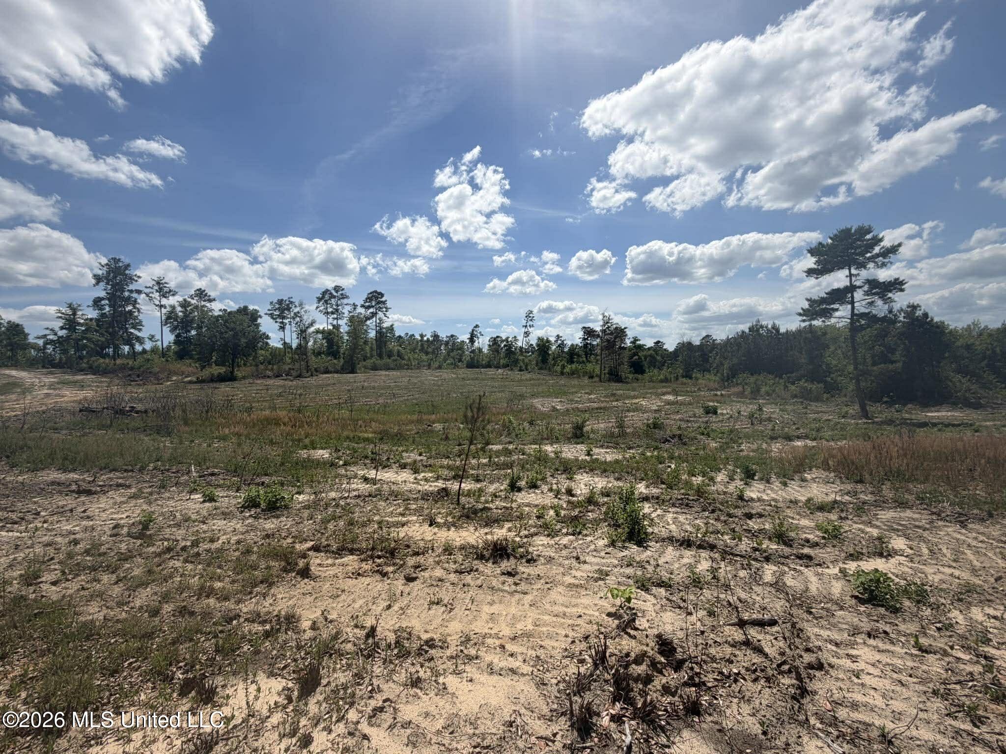19.2-ac McInnis Vernal Road Lucedale, MS 39452 - Photo 14 of 30 669689145_1278085830501665_4543978776397