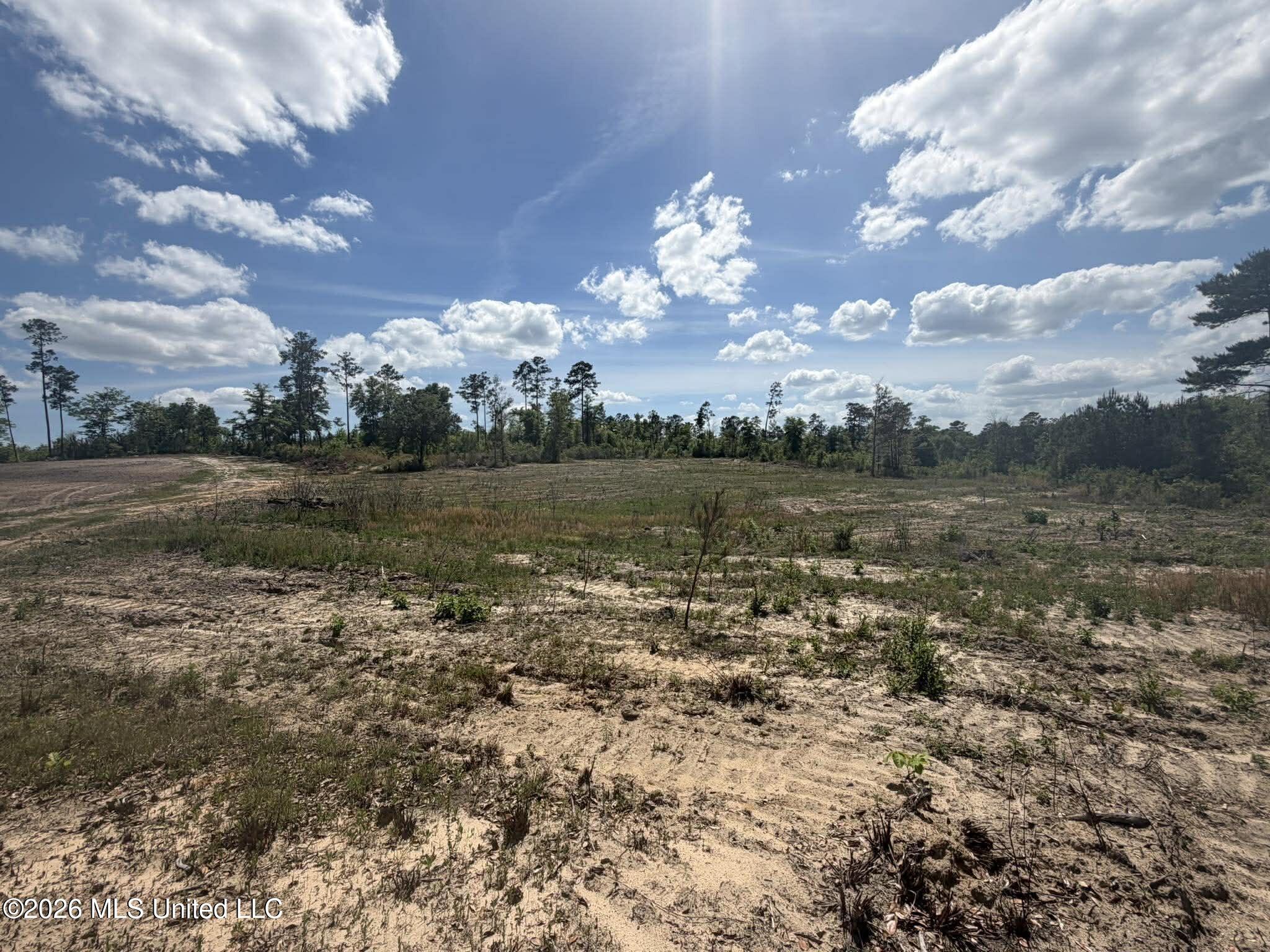 19.2-ac McInnis Vernal Road Lucedale, MS 39452 - Photo 15 of 30 672256616_1994382228129323_7849556106417