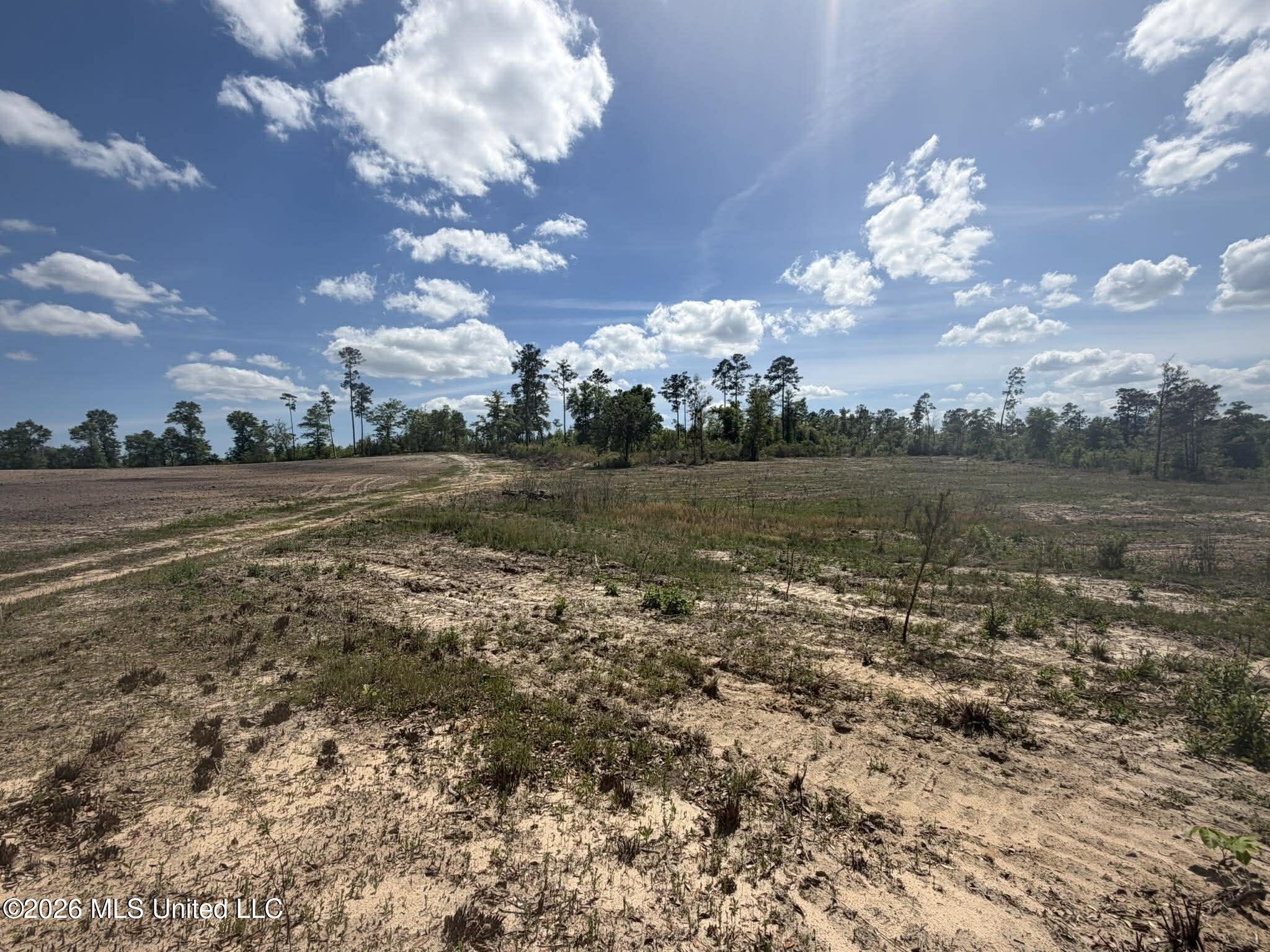 19.2-ac McInnis Vernal Road Lucedale, MS 39452 - Photo 16 of 30 671664672_1282362219978619_2198704464131
