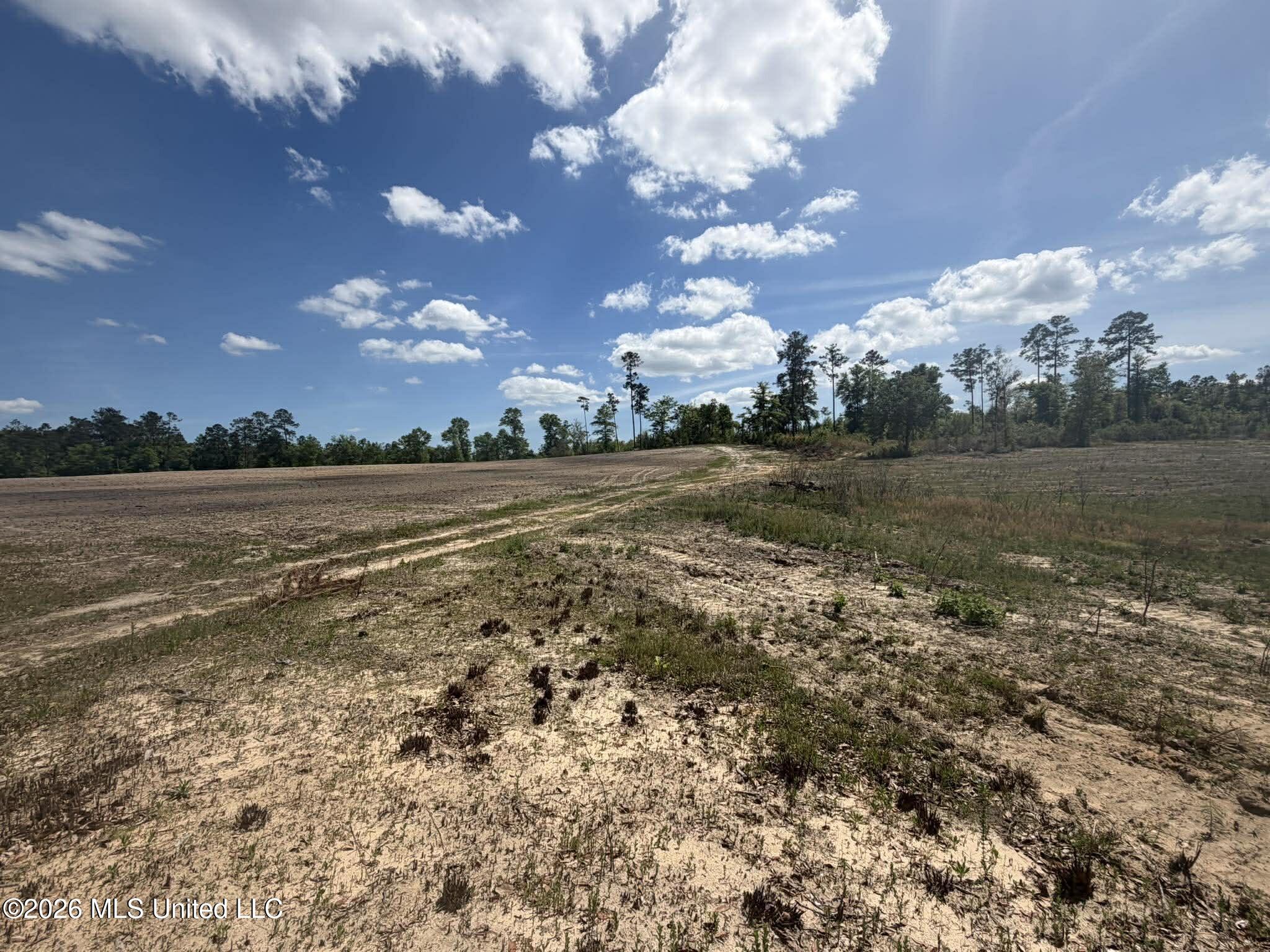 19.2-ac McInnis Vernal Road Lucedale, MS 39452 - Photo 17 of 30 668842878_4023964307907880_7077954054451