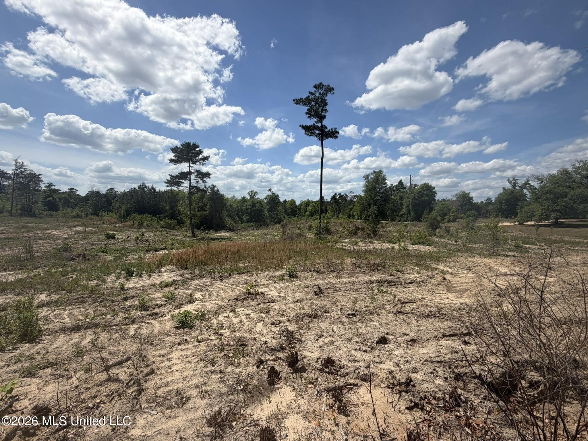 19.2-ac McInnis Vernal Road Lucedale, MS 39452 - Photo 18 of 30 667767825_971359275240667_66808637514030