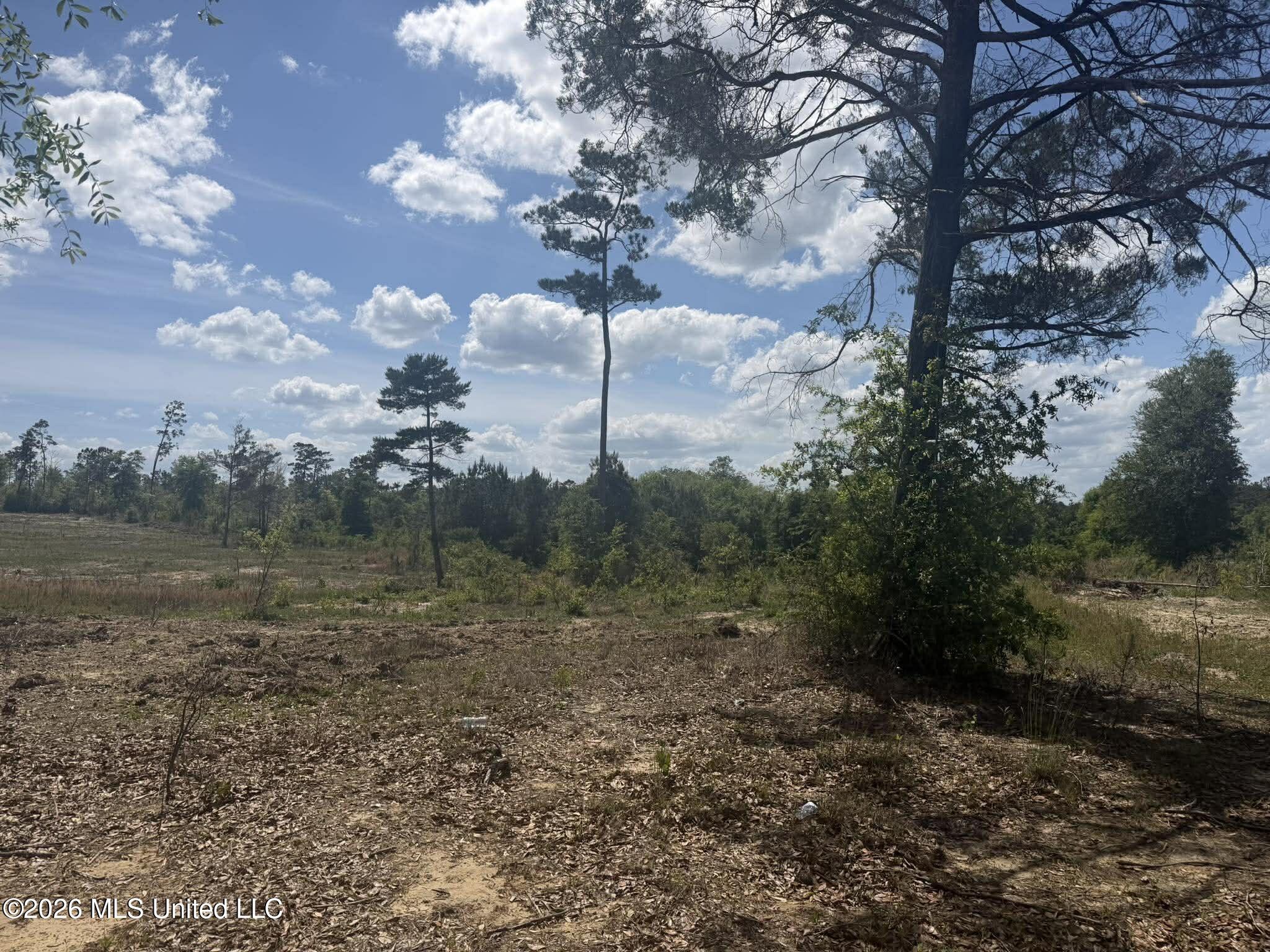 19.2-ac McInnis Vernal Road Lucedale, MS 39452 - Photo 19 of 30 668883176_1307383884145676_8298921733863