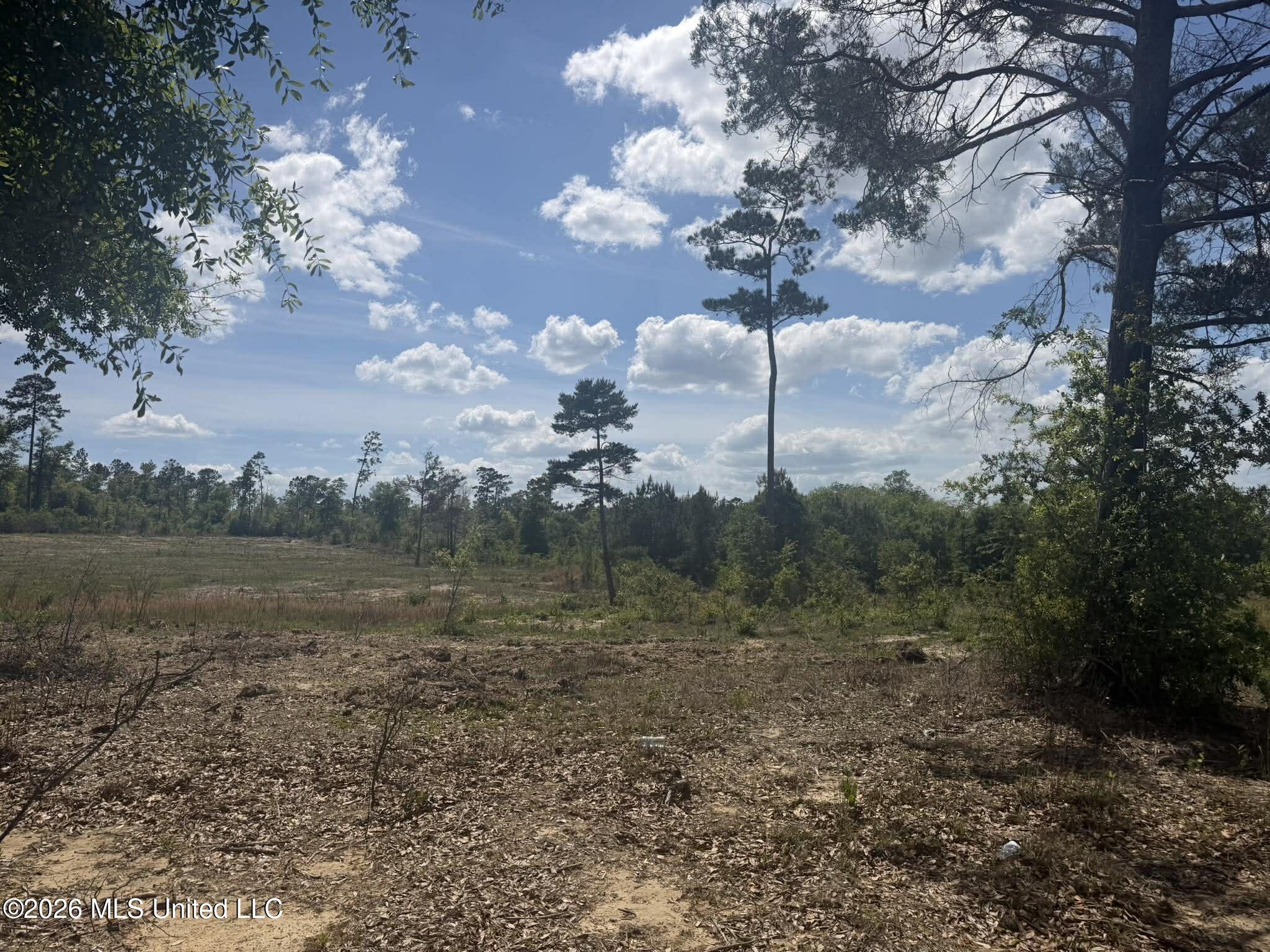 19.2-ac McInnis Vernal Road Lucedale, MS 39452 - Photo 20 of 30 673551287_1892508851441097_1239646589211