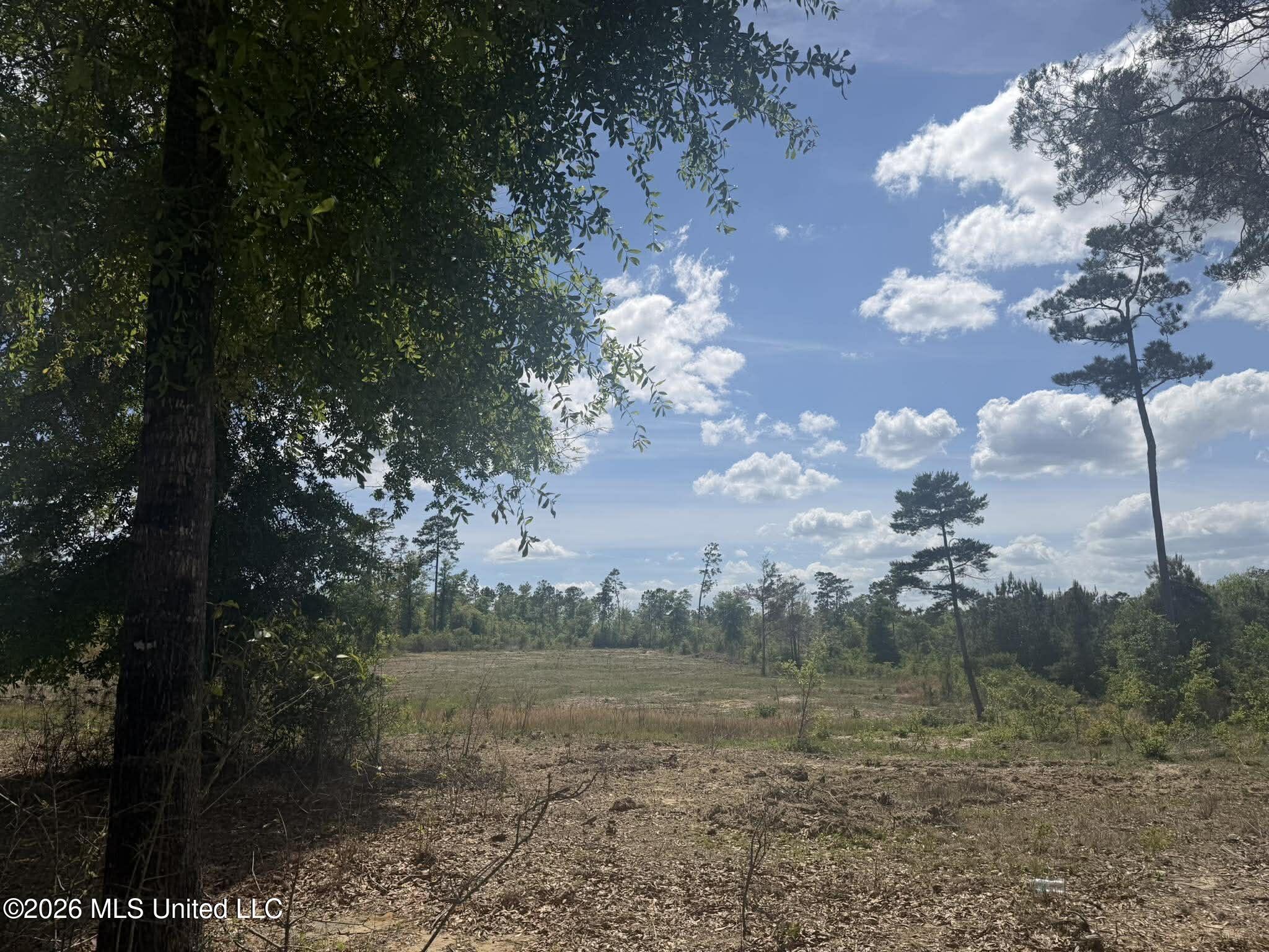 19.2-ac McInnis Vernal Road Lucedale, MS 39452 - Photo 22 of 30 673209746_2097508337776535_7216291625446