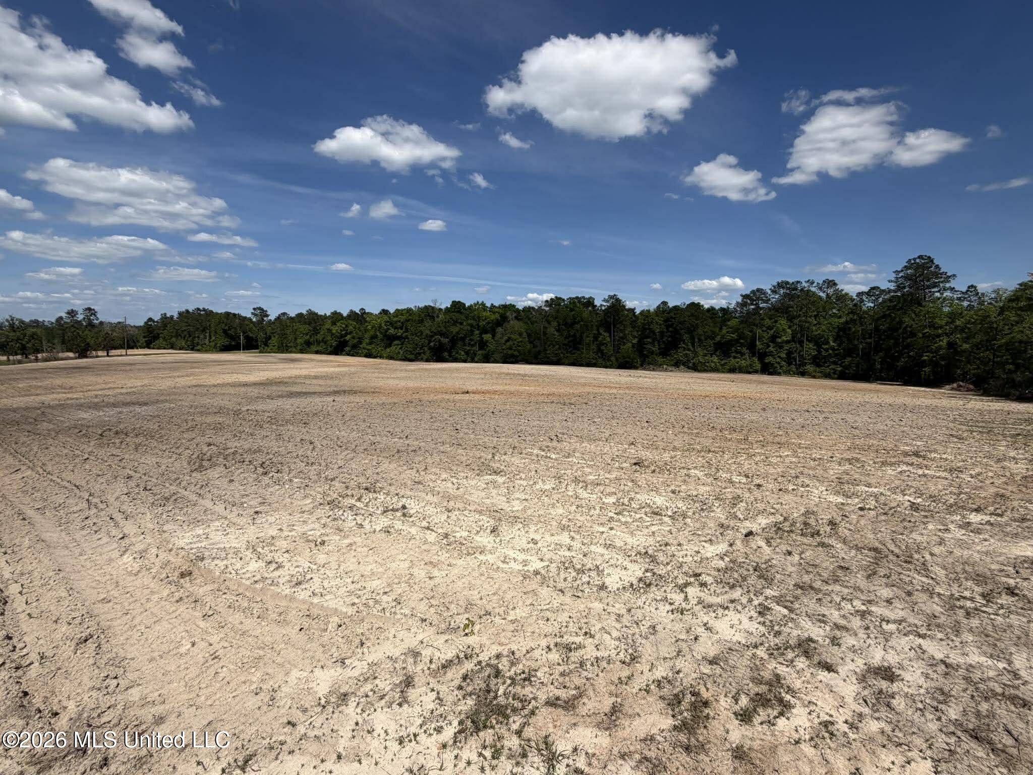 19.2-ac McInnis Vernal Road Lucedale, MS 39452 - Photo 23 of 30 673368716_4189037401241728_7699832363531