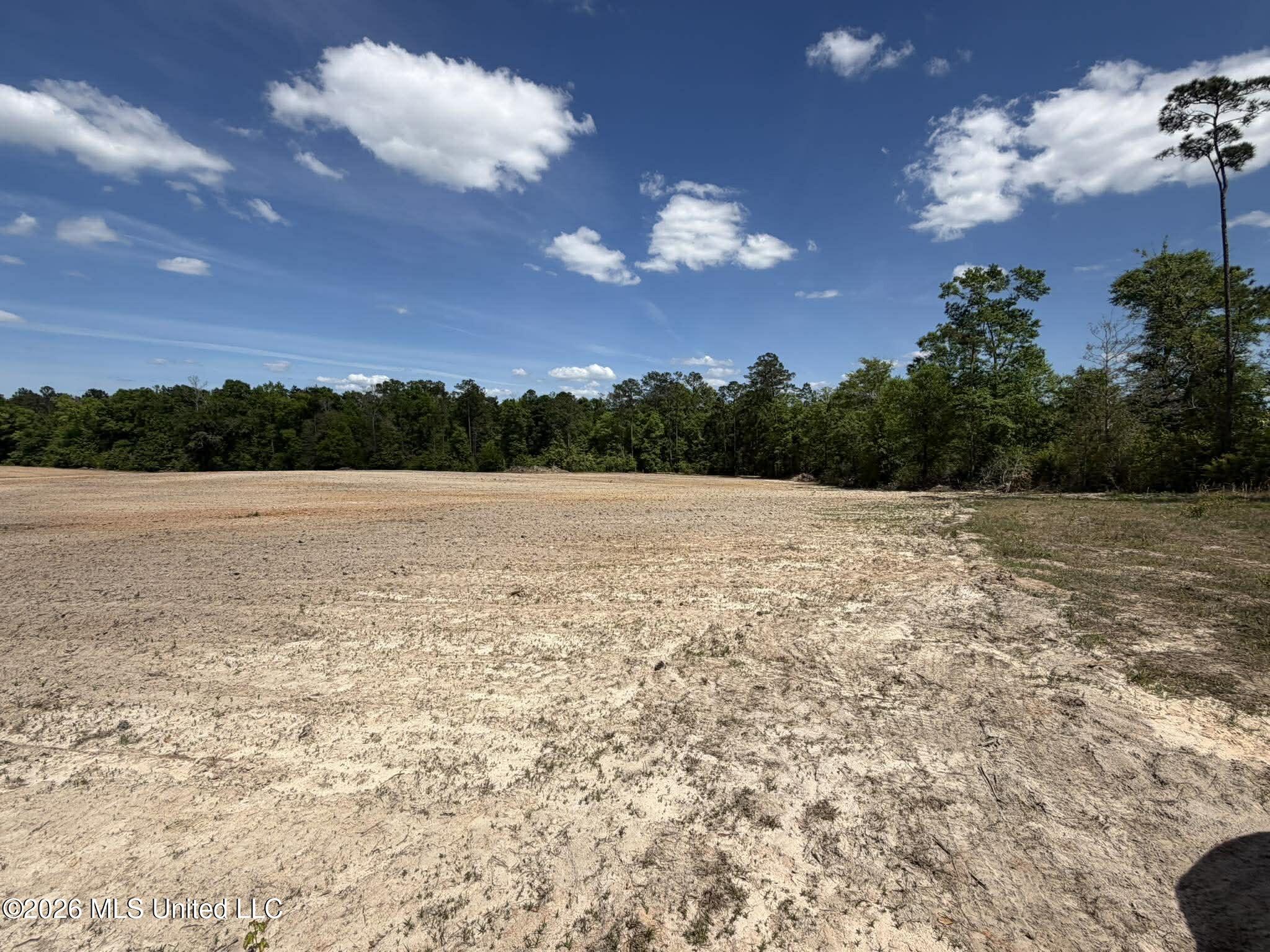 19.2-ac McInnis Vernal Road Lucedale, MS 39452 - Photo 25 of 30 669314003_1355868963048652_6171316390376