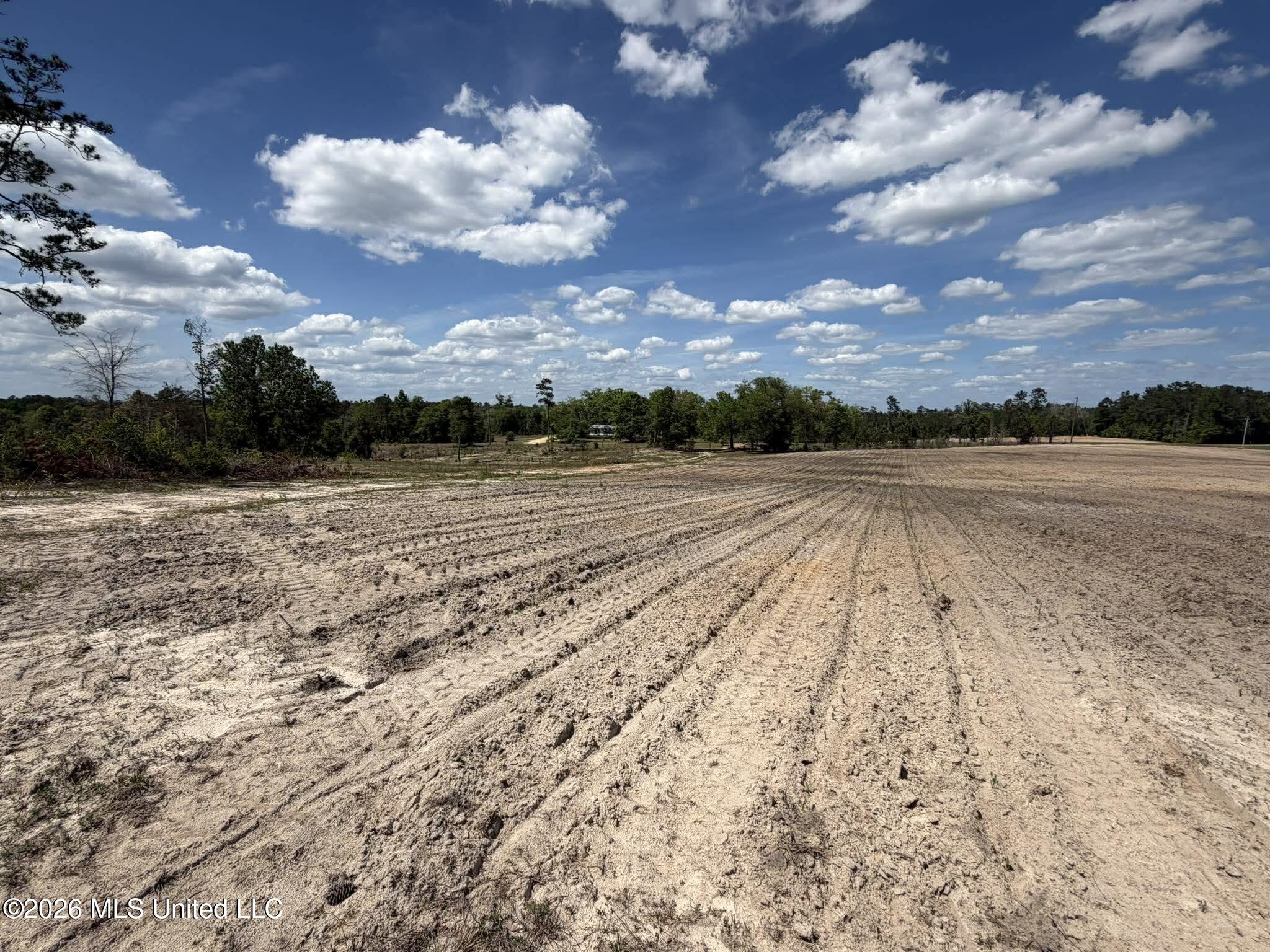 19.2-ac McInnis Vernal Road Lucedale, MS 39452 - Photo 28 of 30 669647046_1688058668855152_5999329085586