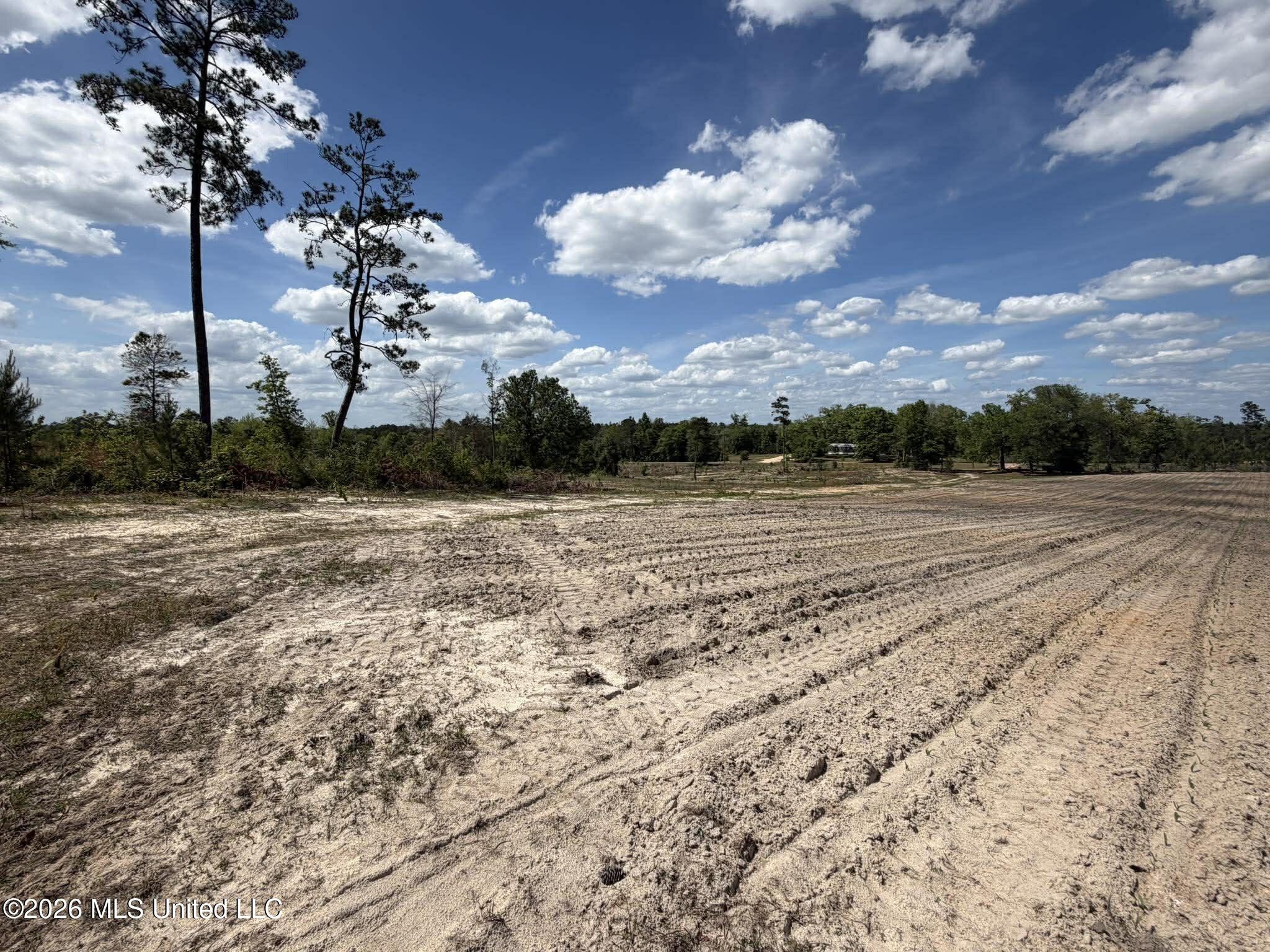 19.2-ac McInnis Vernal Road Lucedale, MS 39452 - Photo 29 of 30 669073656_1286080416190361_2228604266689