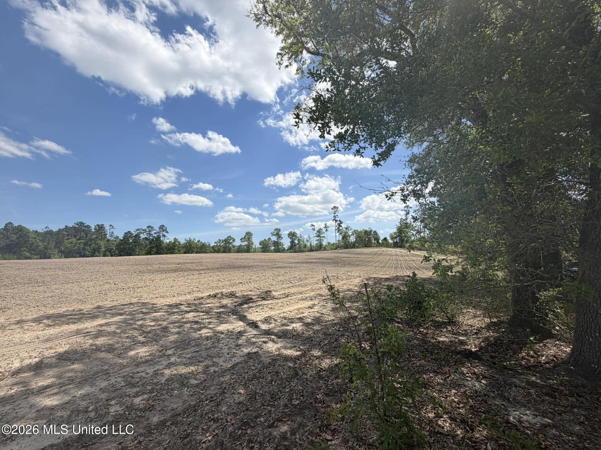 19.2-ac McInnis Vernal Road Lucedale, MS 39452 - Photo 4 of 30 668872242_4396843417241649_6636200121145