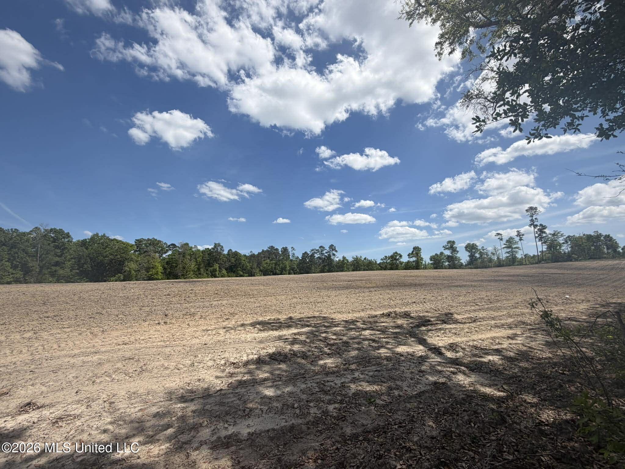 19.2-ac McInnis Vernal Road Lucedale, MS 39452 - Photo 5 of 30 672702519_1436714344347472_5507524270045