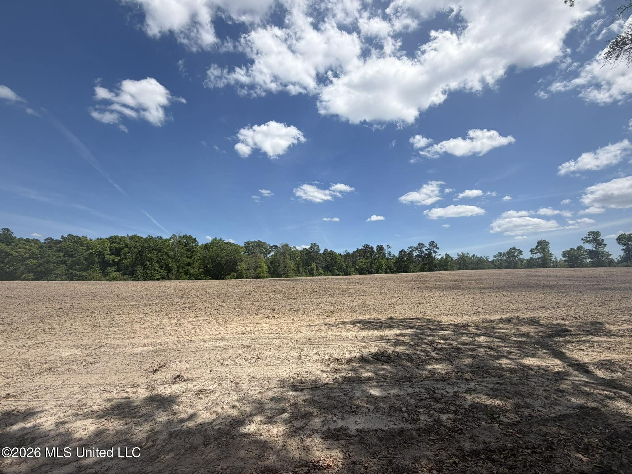 19.2-ac McInnis Vernal Road Lucedale, MS 39452 - Photo 6 of 30 673118449_25745697085103748_740759267129