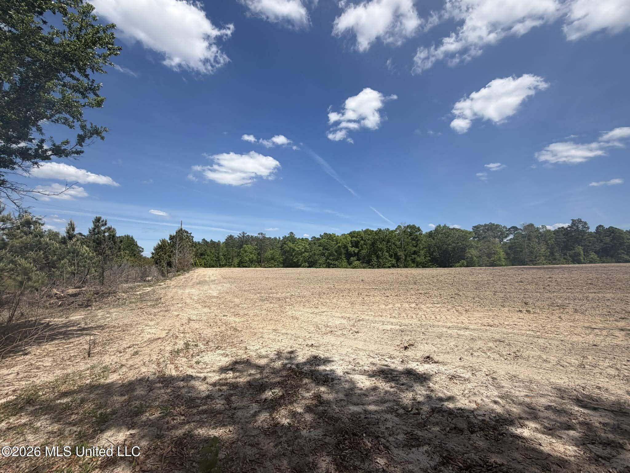 19.2-ac McInnis Vernal Road Lucedale, MS 39452 - Photo 7 of 30 670481146_1730469637923813_2171596566131
