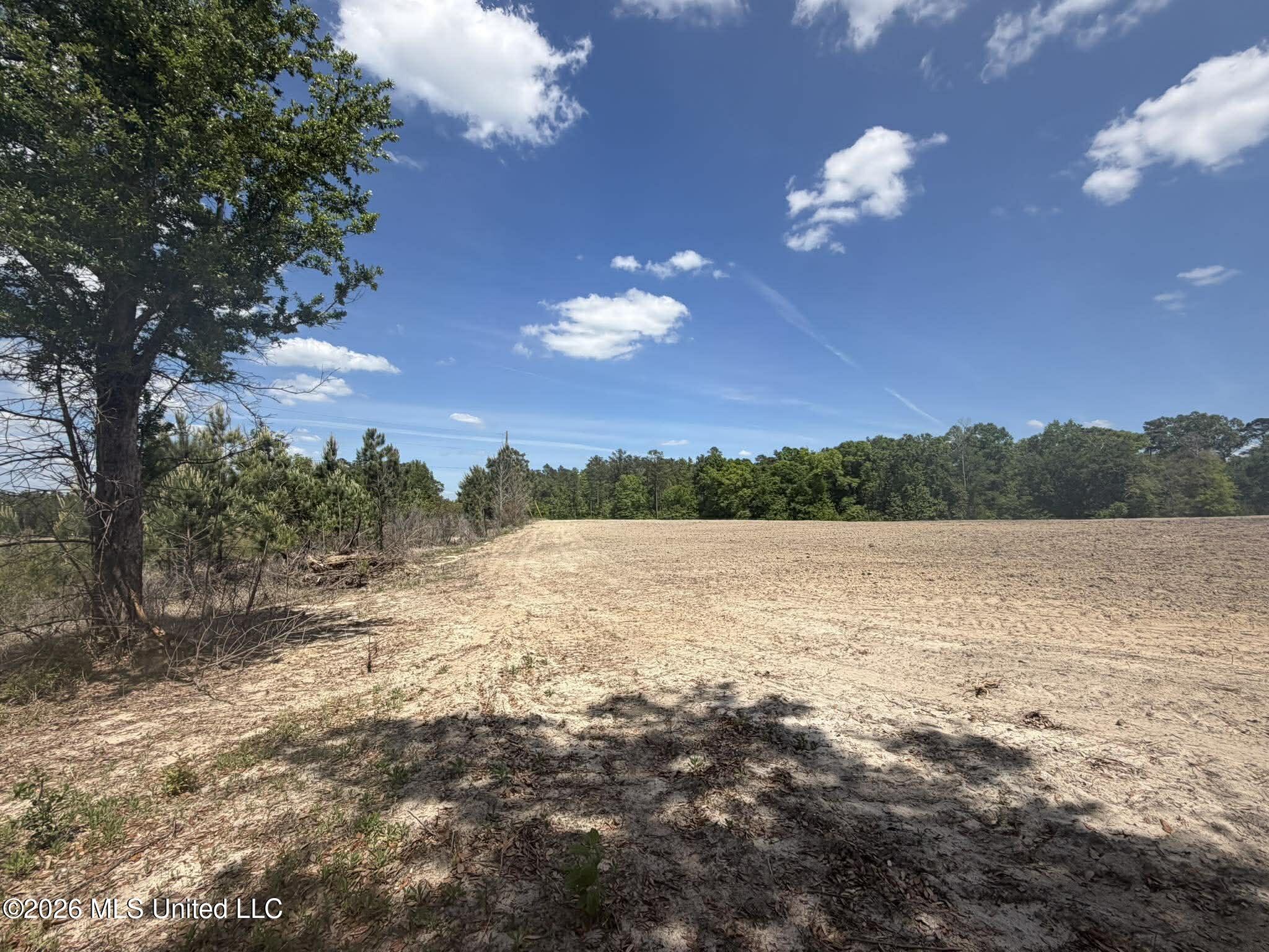 19.2-ac McInnis Vernal Road Lucedale, MS 39452 - Photo 8 of 30 671616756_2018242428782551_6819152689052