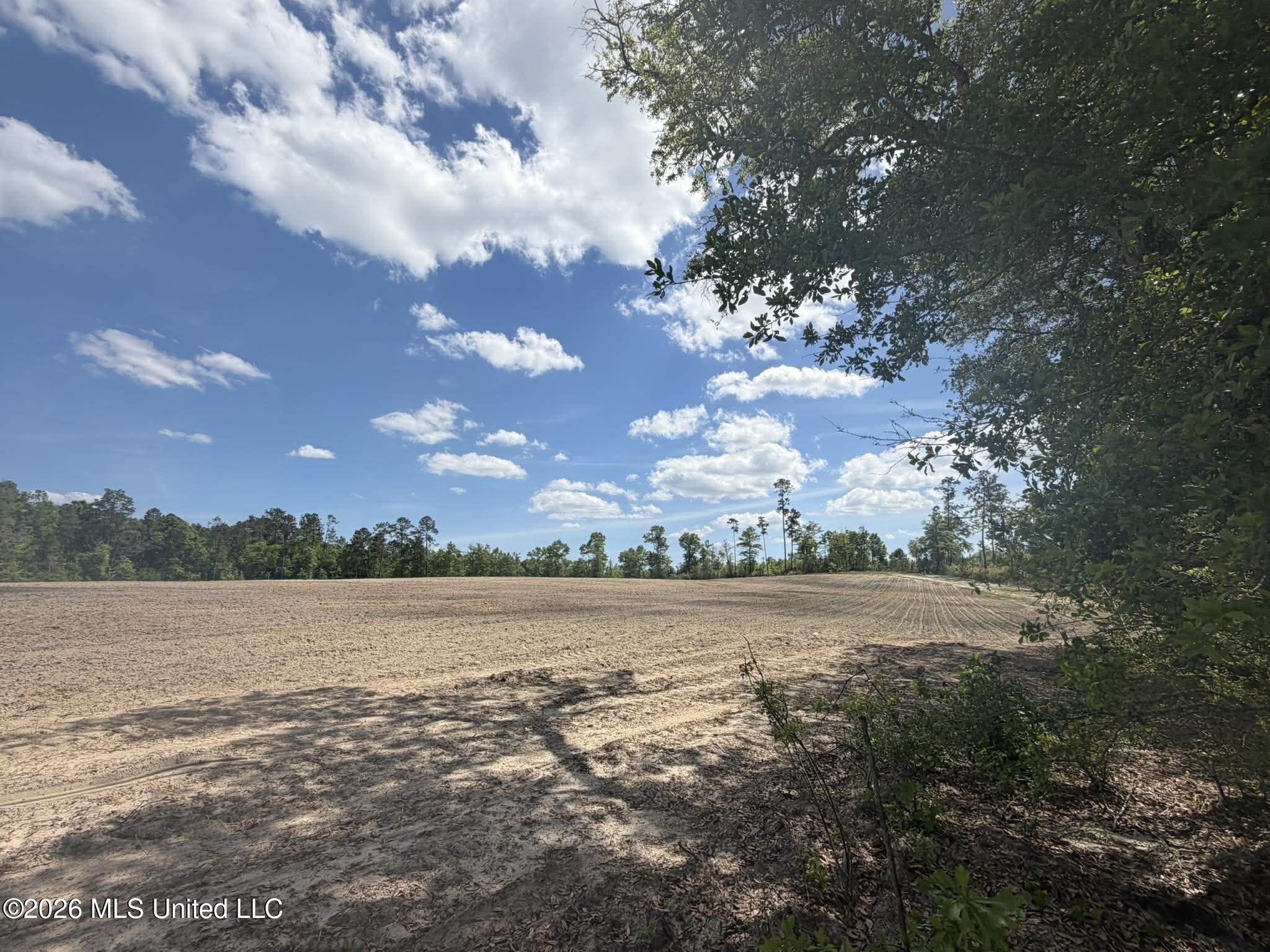 19.2-ac McInnis Vernal Road Lucedale, MS 39452 - Photo 9 of 30 669657737_940386895287005_61858839211125