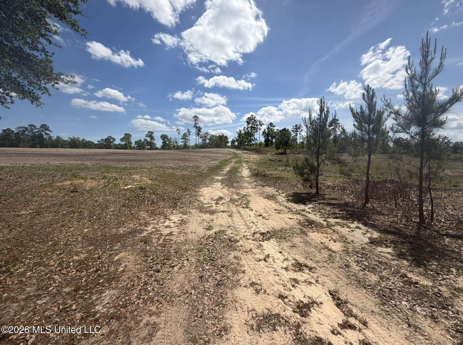 19.2-ac McInnis Vernal Road Lucedale, MS 39452 - Photo 10 of 30 668862441_932382779710806_34176531129331