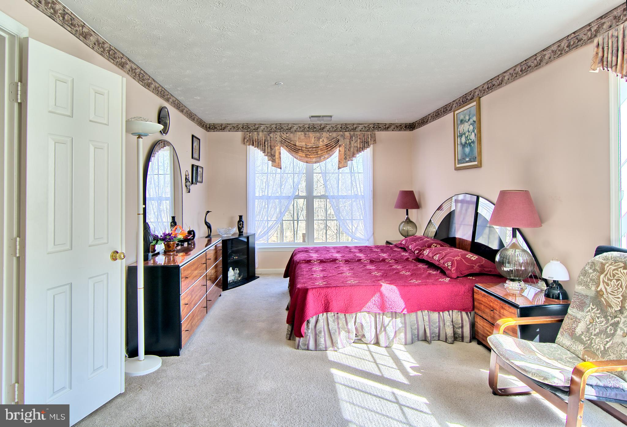 826 Kennington Road Reisterstown, MD 21136 - Photo 17 of 29 Master Bedroom w/ Side Window.Natural Light Galore