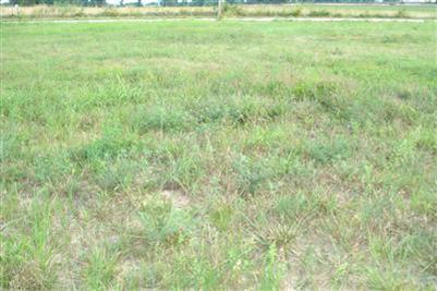 1300 The Loop Road Highlandville, MO 65669 - Photo 1 of 1 Primary Photo