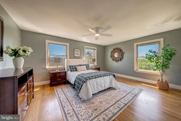 a spacious bedroom with a bed and a potted plant