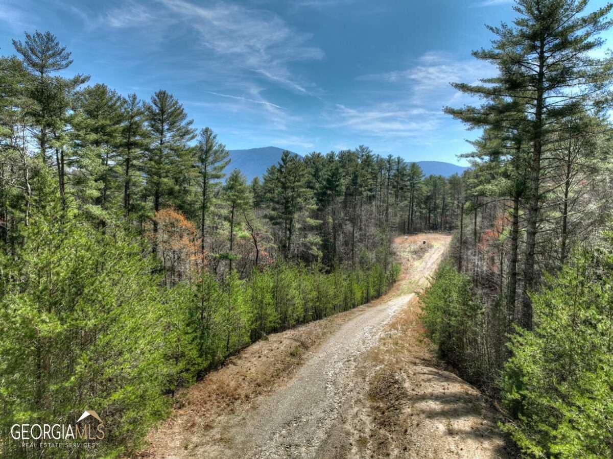 1200 Cherry Log Street Cherry Log, GA 30522 - Photo 1 of 1 a view of a pathway both side of grassy field with trees