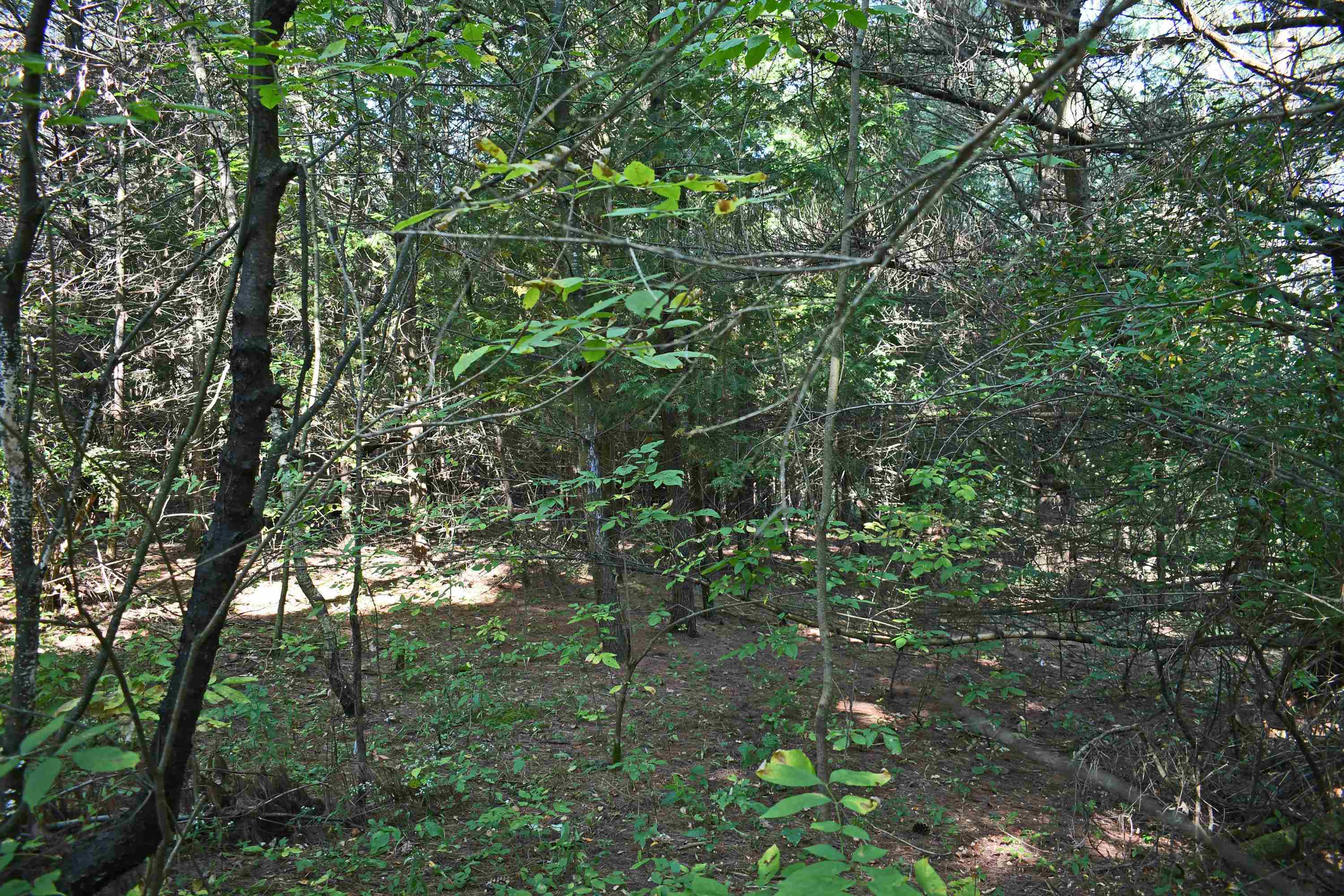 0 North Kobs Road Tawas City, MI 48763 - Photo 20 of 26