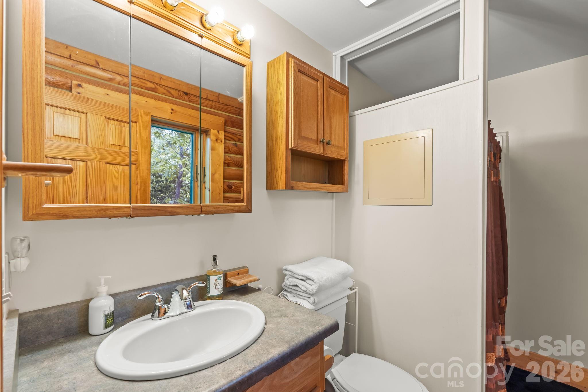 3341 Peniel Road Tryon, NC 28782 - Photo 24 of 48 a bathroom with a sink mirror and toilet