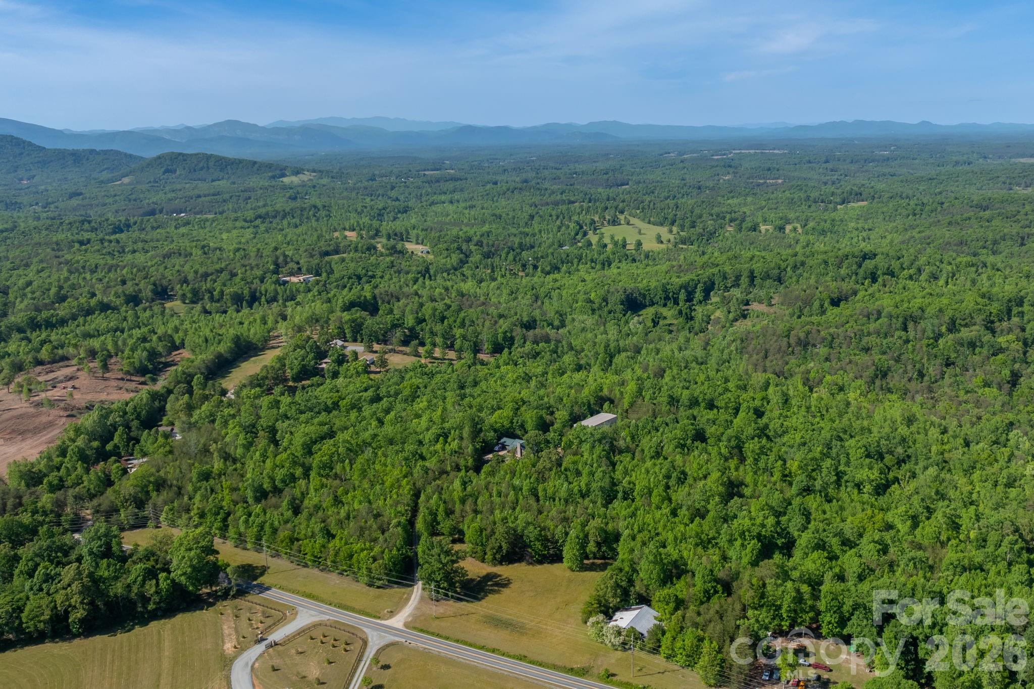3341 Peniel Road Tryon, NC 28782 - Photo 48 of 48 a view of a green field with lots of bushes