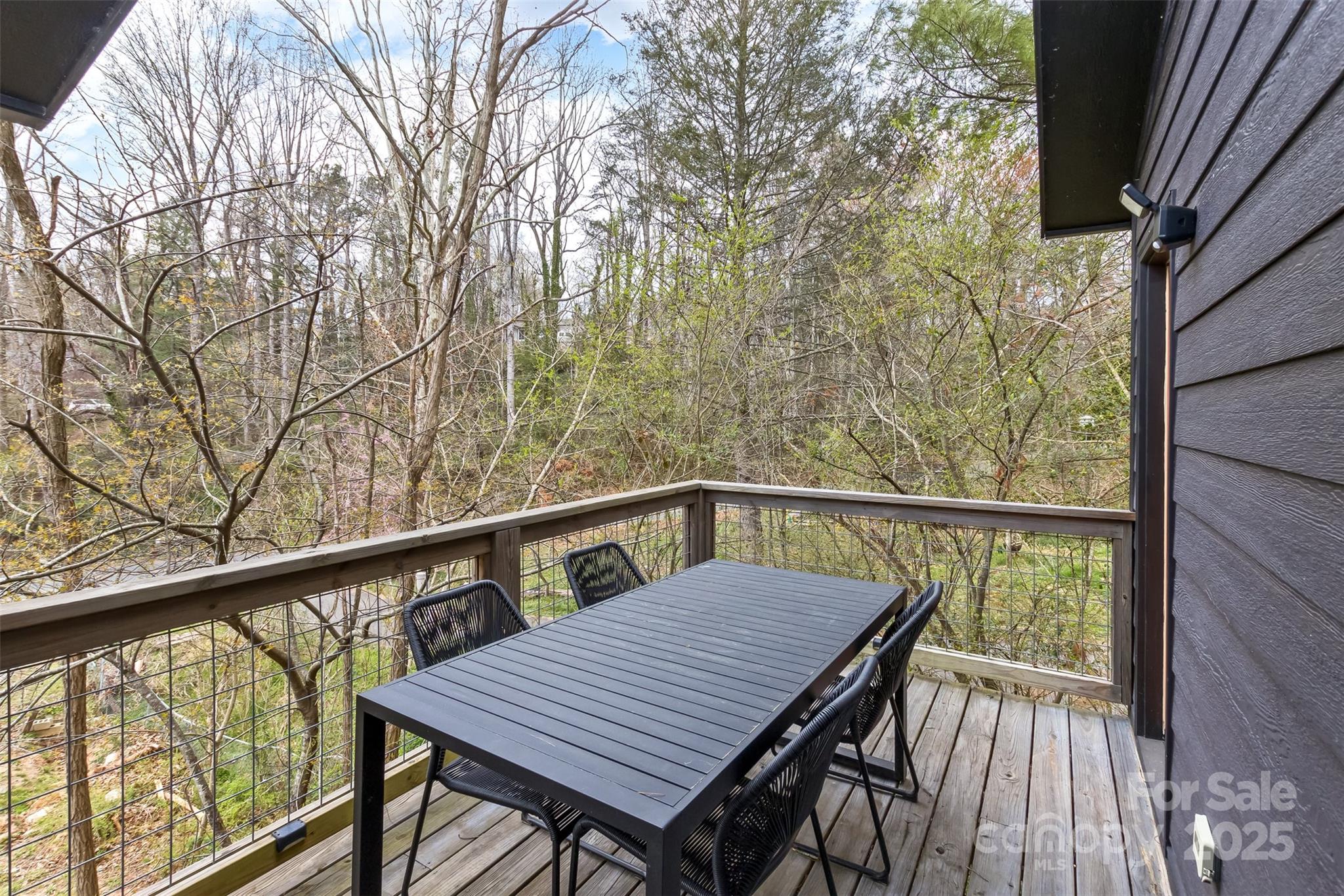 105 Annies Ridge Road Asheville, NC 28804 - Photo 15 of 41 Gallery Image 15