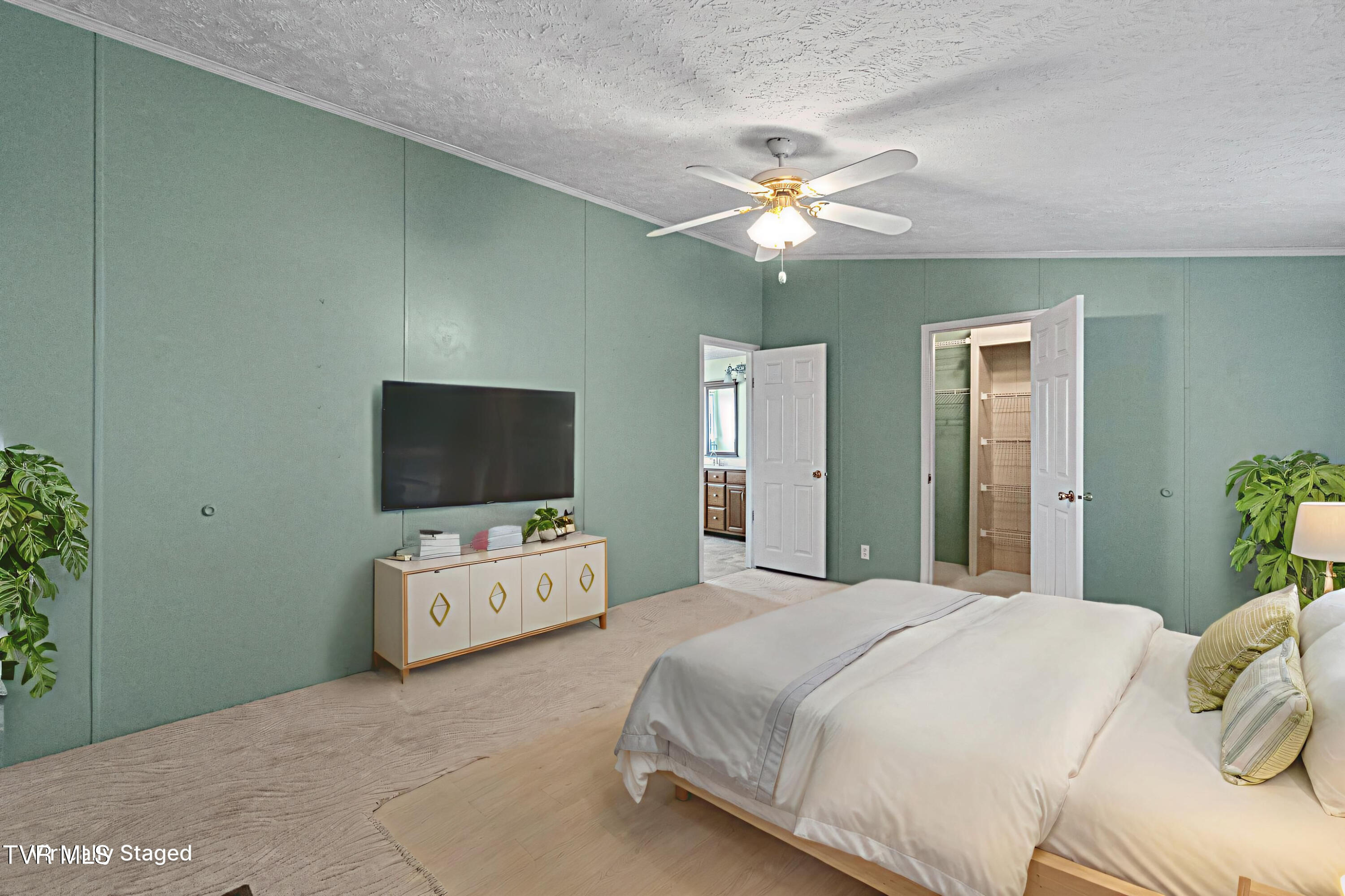 260 Carriage Lane Greeneville, TN 37745 - Photo 28 of 59 P2