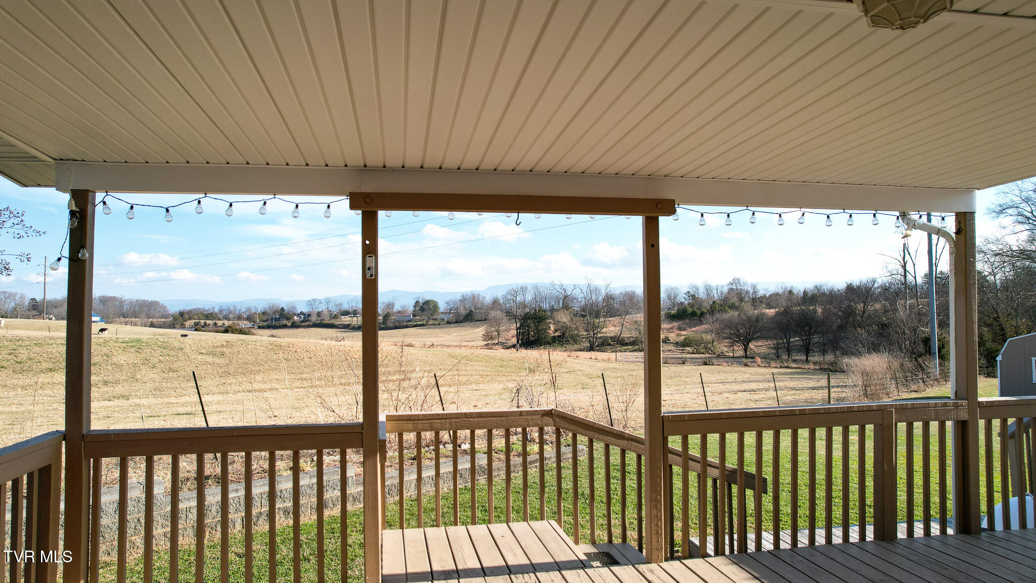 260 Carriage Lane Greeneville, TN 37745 - Photo 44 of 59 37