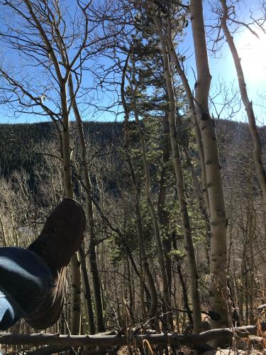 Loch Lomond Road Idaho Springs, CO 80452 - Photo 5 of 9