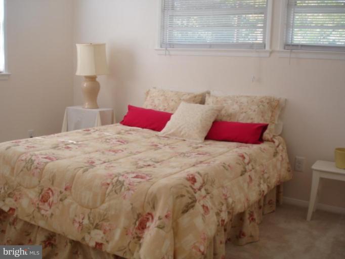 5501 Blacksburg Road Springfield, VA 22151 - Photo 23 of 29 2nd Br View 1