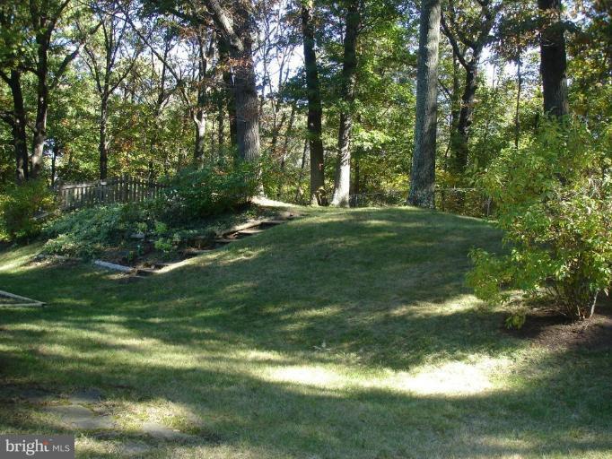 5501 Blacksburg Road Springfield, VA 22151 - Photo 4 of 29 Back yard