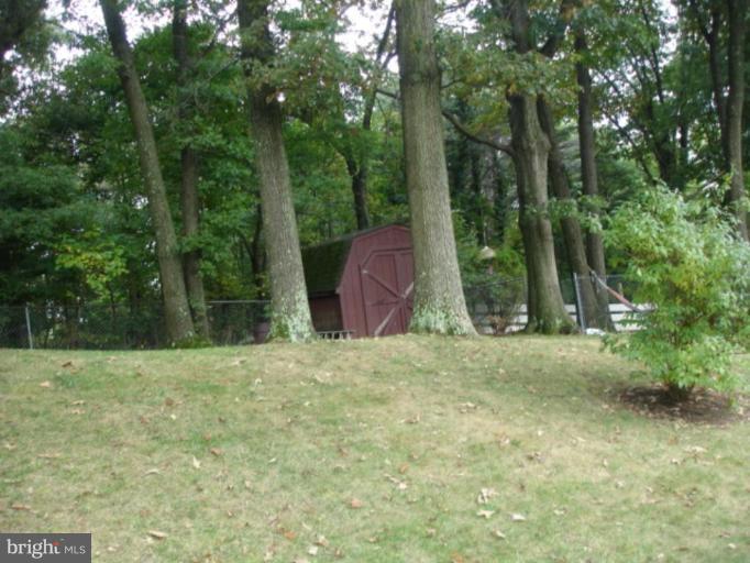 5501 Blacksburg Road Springfield, VA 22151 - Photo 5 of 29 Shed