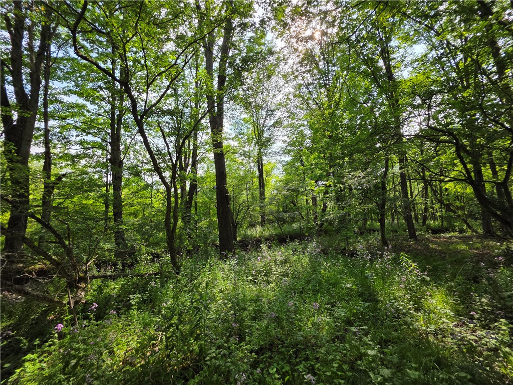 Potter Road Greenwood, NY 14839 - Photo 14 of 23