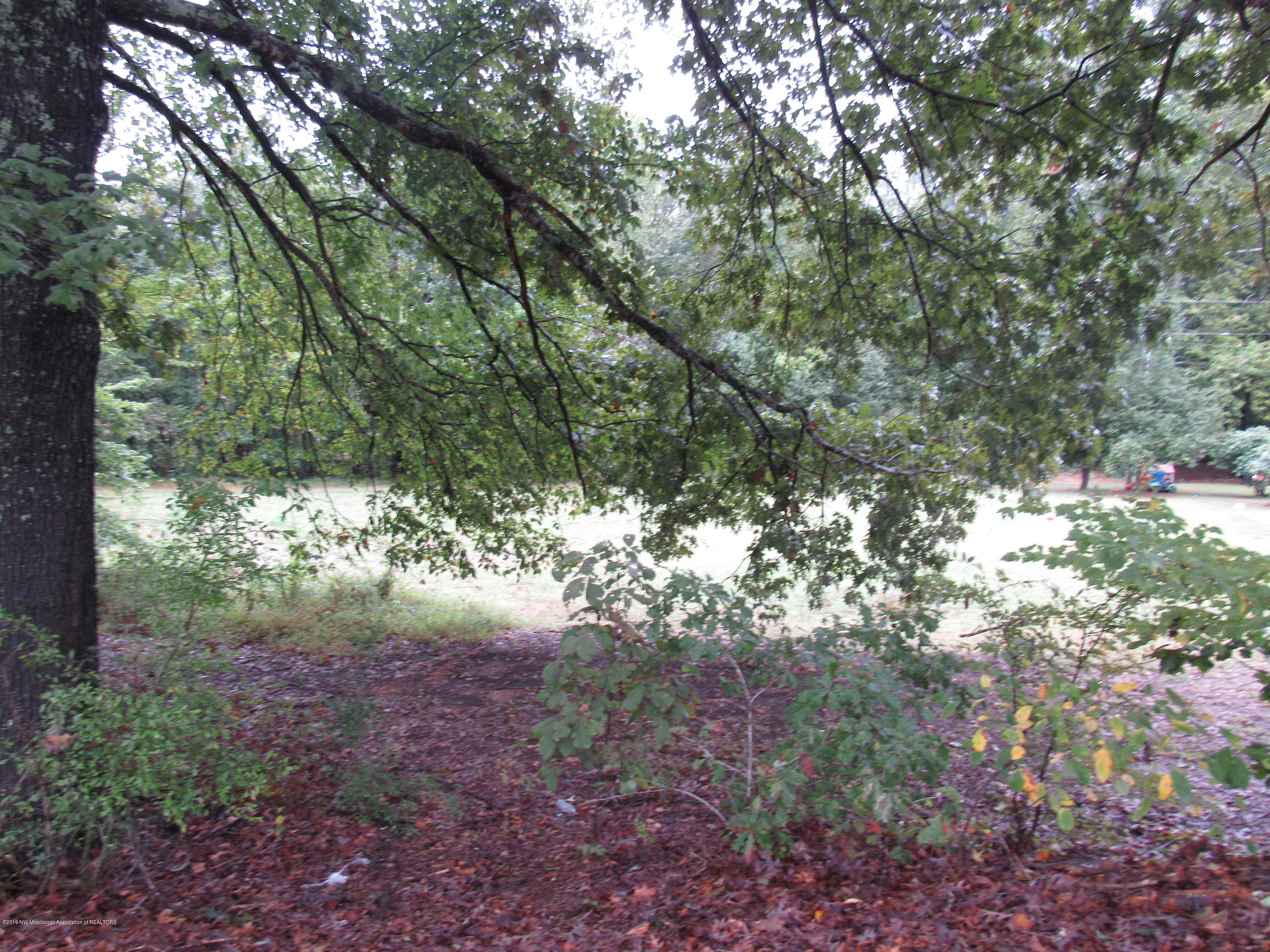 360 Bankston Road, Unit LOT 2 Nesbit, MS 38651 - Photo 3 of 3 lot 2 view 1